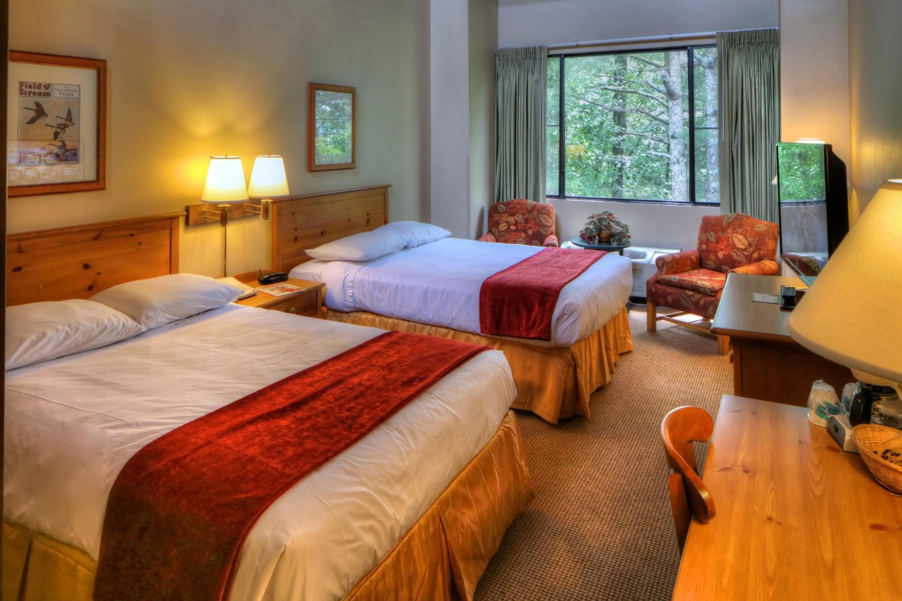 Photo of the whole room, Bed in Unicoi State Park & Lodge