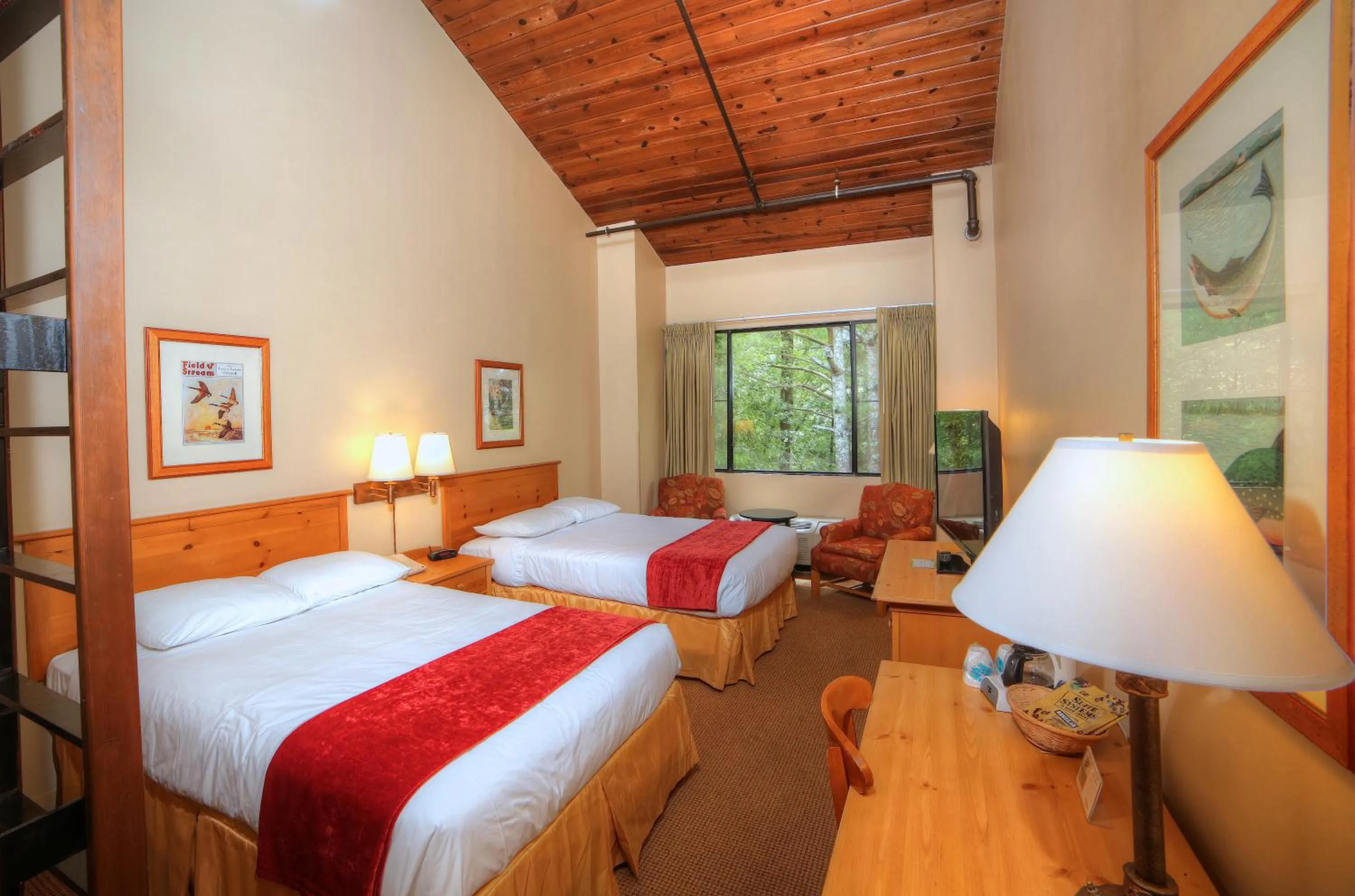 Photo of the whole room, Bed in Unicoi State Park & Lodge