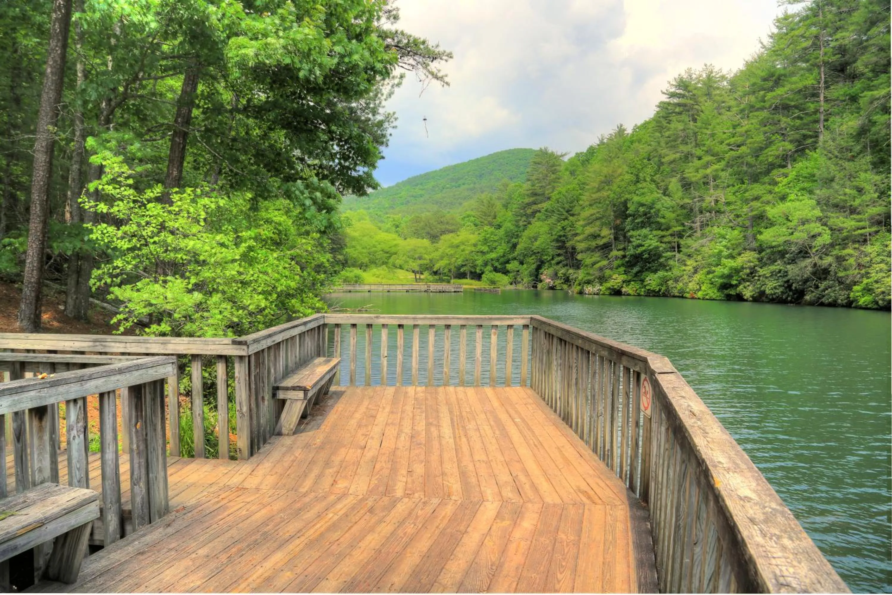Natural landscape in Unicoi State Park & Lodge