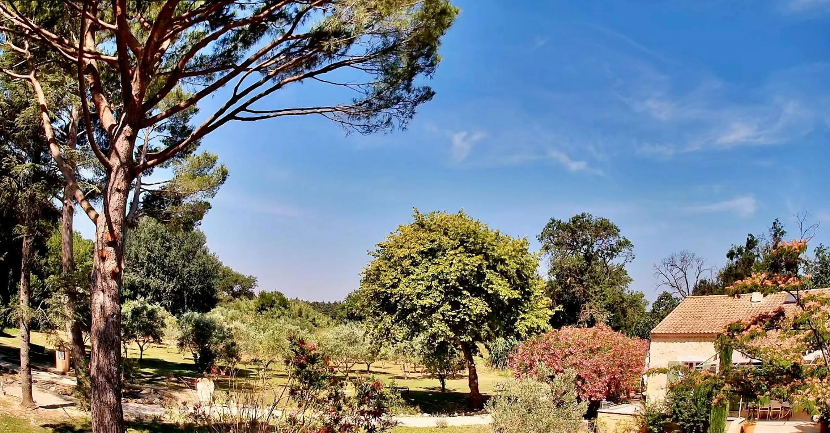 Garden in Domaine Au Coeur des Alpilles