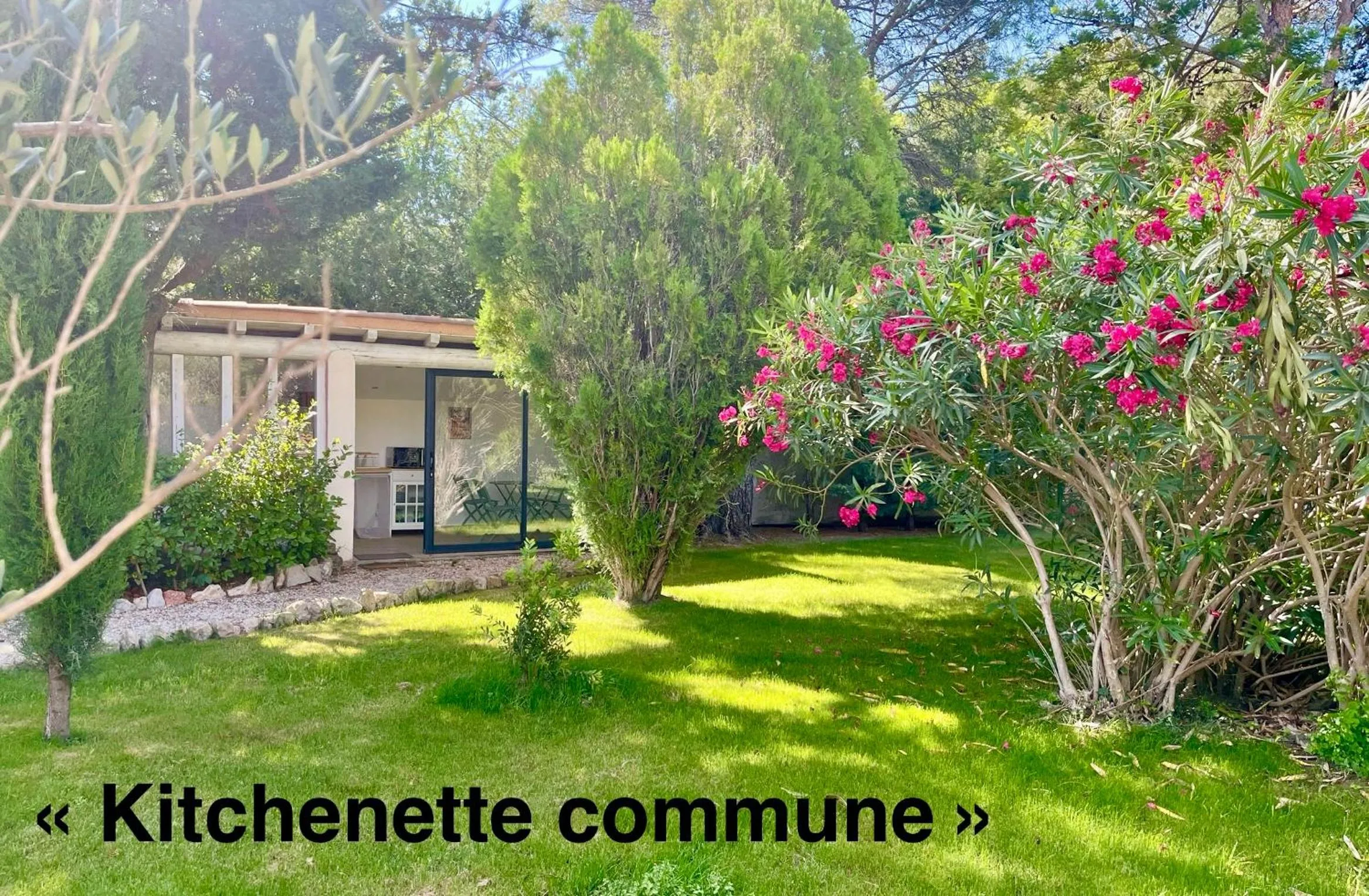 Kitchen or kitchenette in Domaine Au Coeur des Alpilles