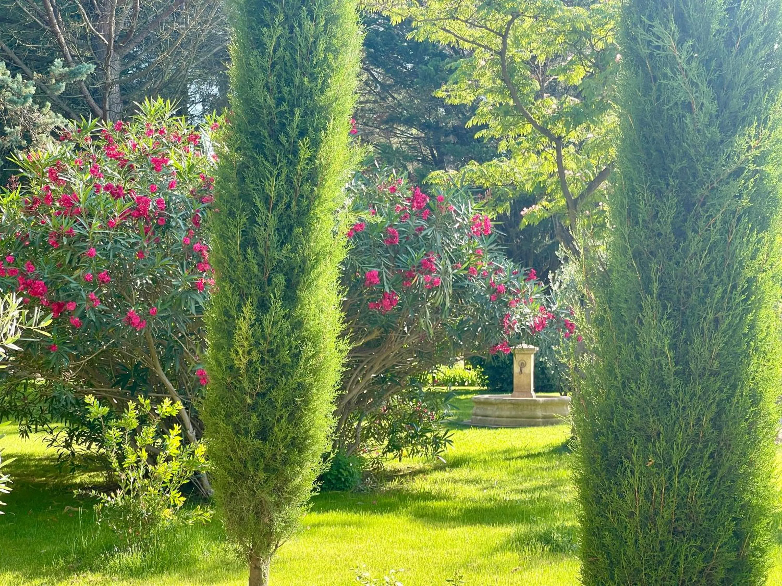 Garden in Domaine Au Coeur des Alpilles