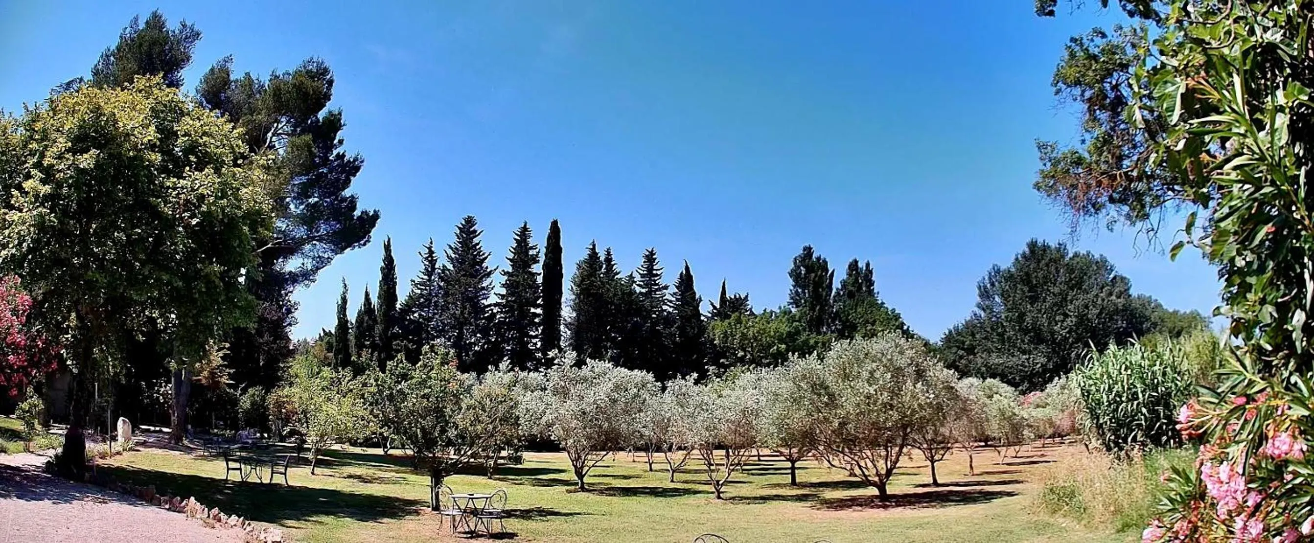 Garden in Domaine Au Coeur des Alpilles