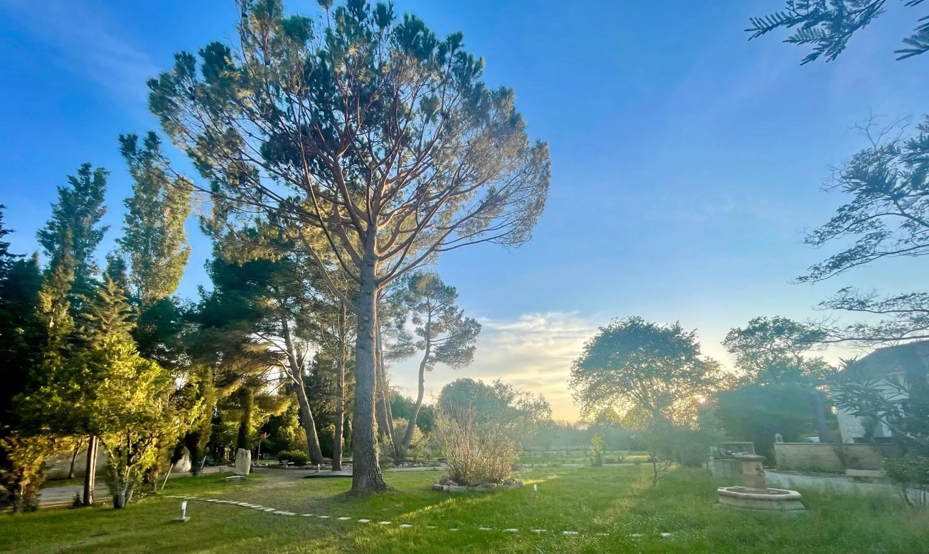 Garden in Domaine Au Coeur des Alpilles