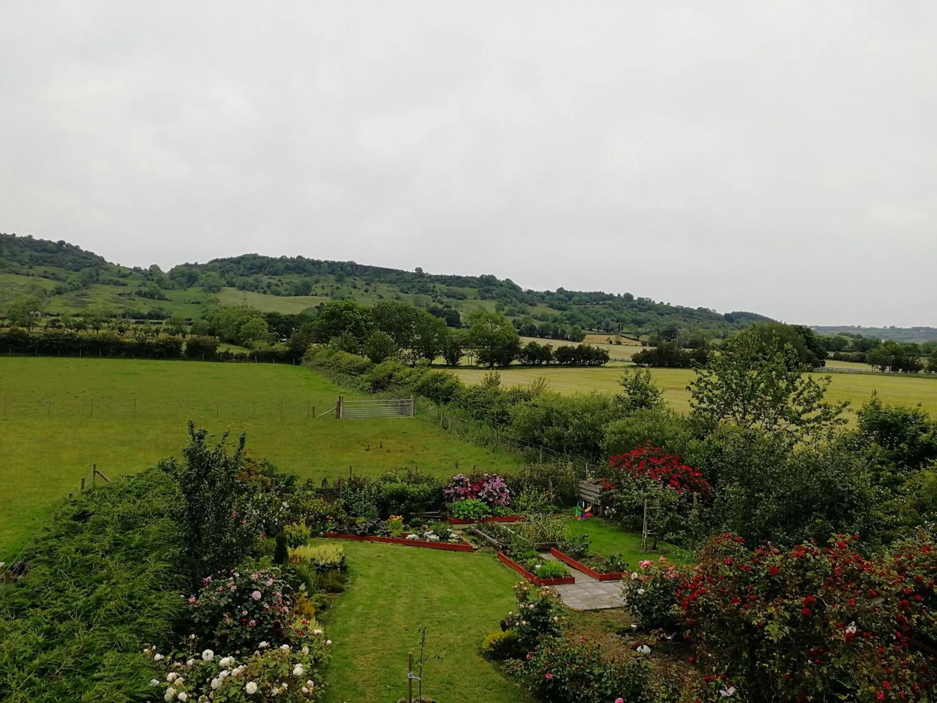 Natural landscape in Fox Heaven B&B