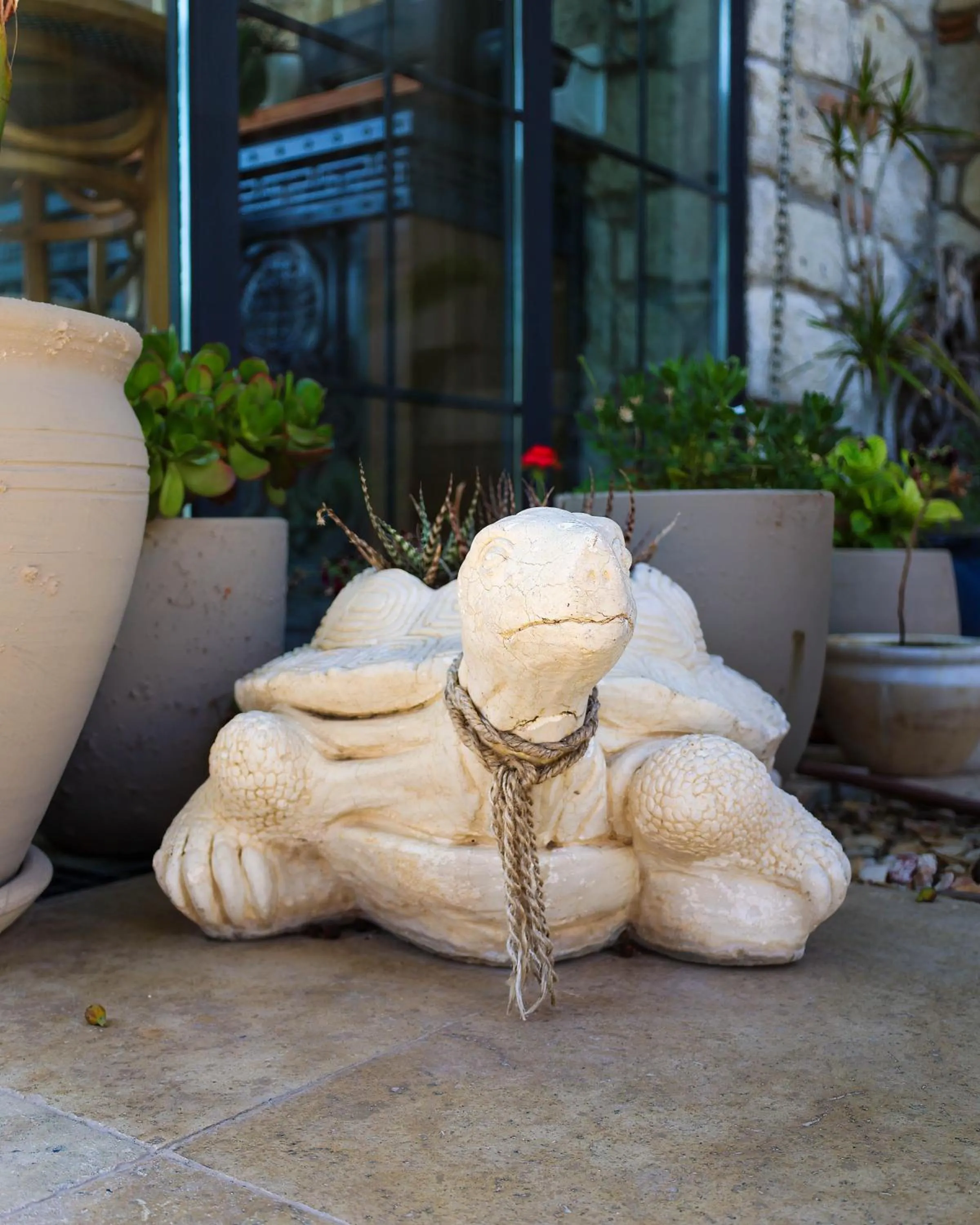 Garden in AlaBora Hotel