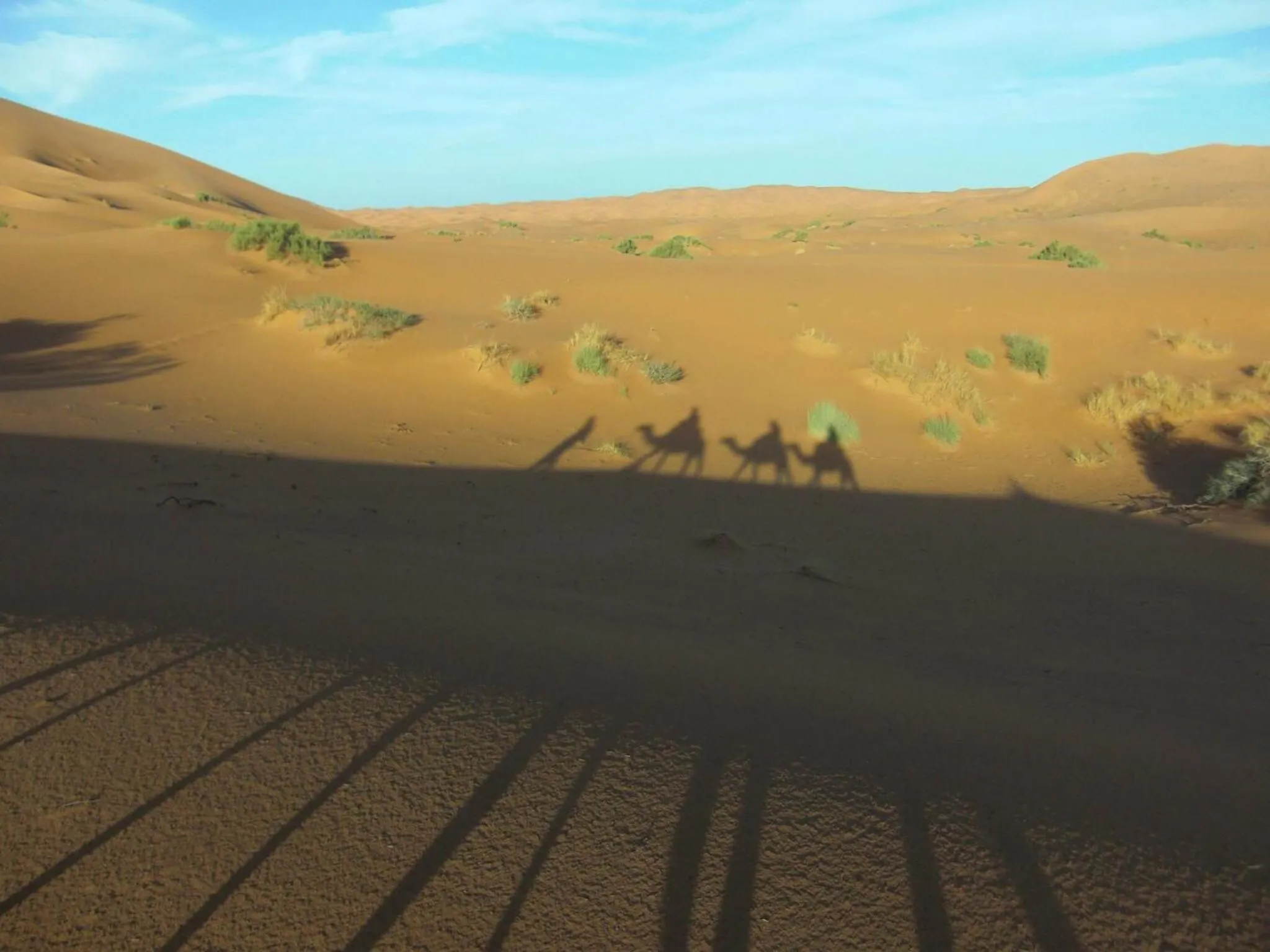 Standard Quadruple Room in Riad Hotel Les Flamants