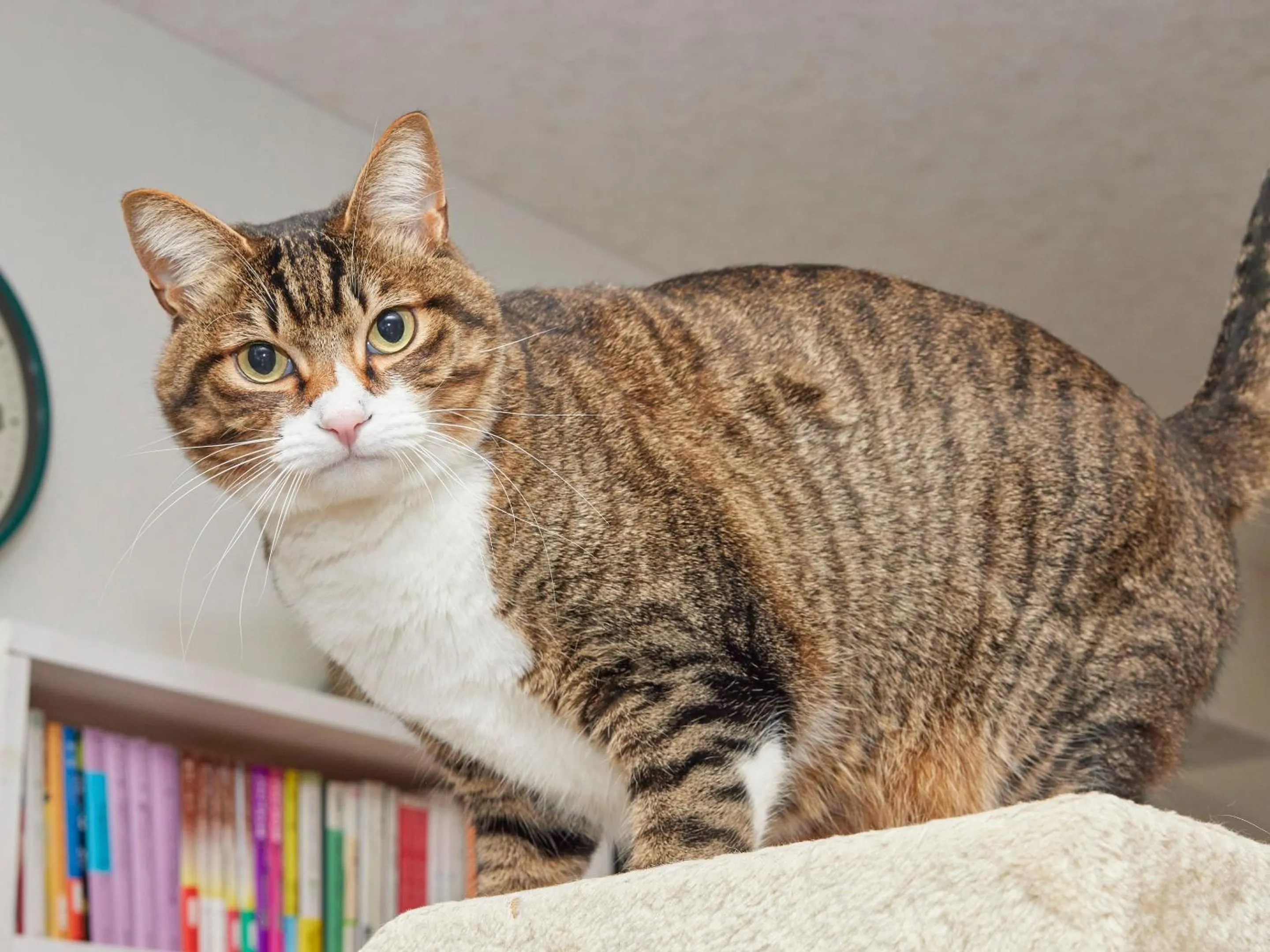 Communal lounge/ TV room in Itosima Guesthouse TOMO