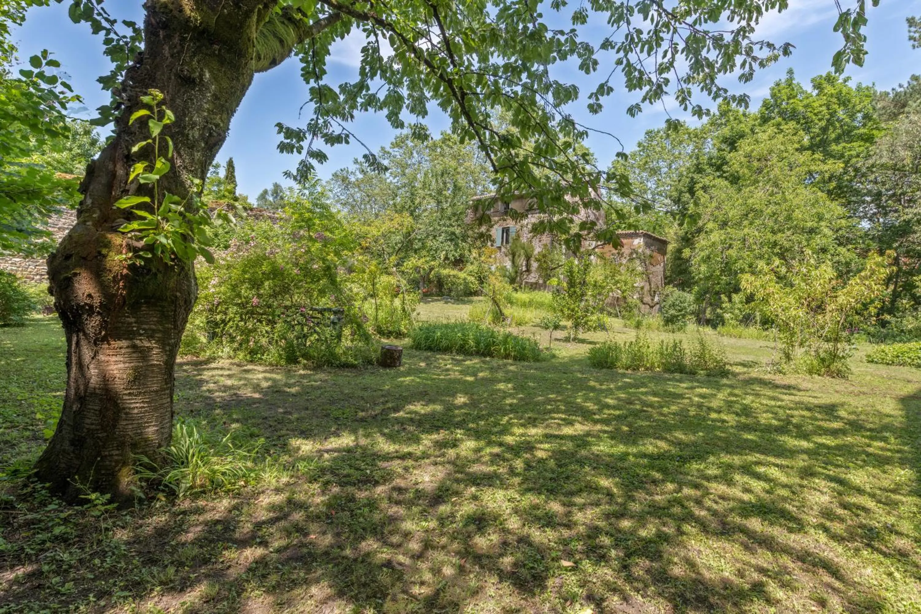 Garden in Les Suites de l'Ile Barbe