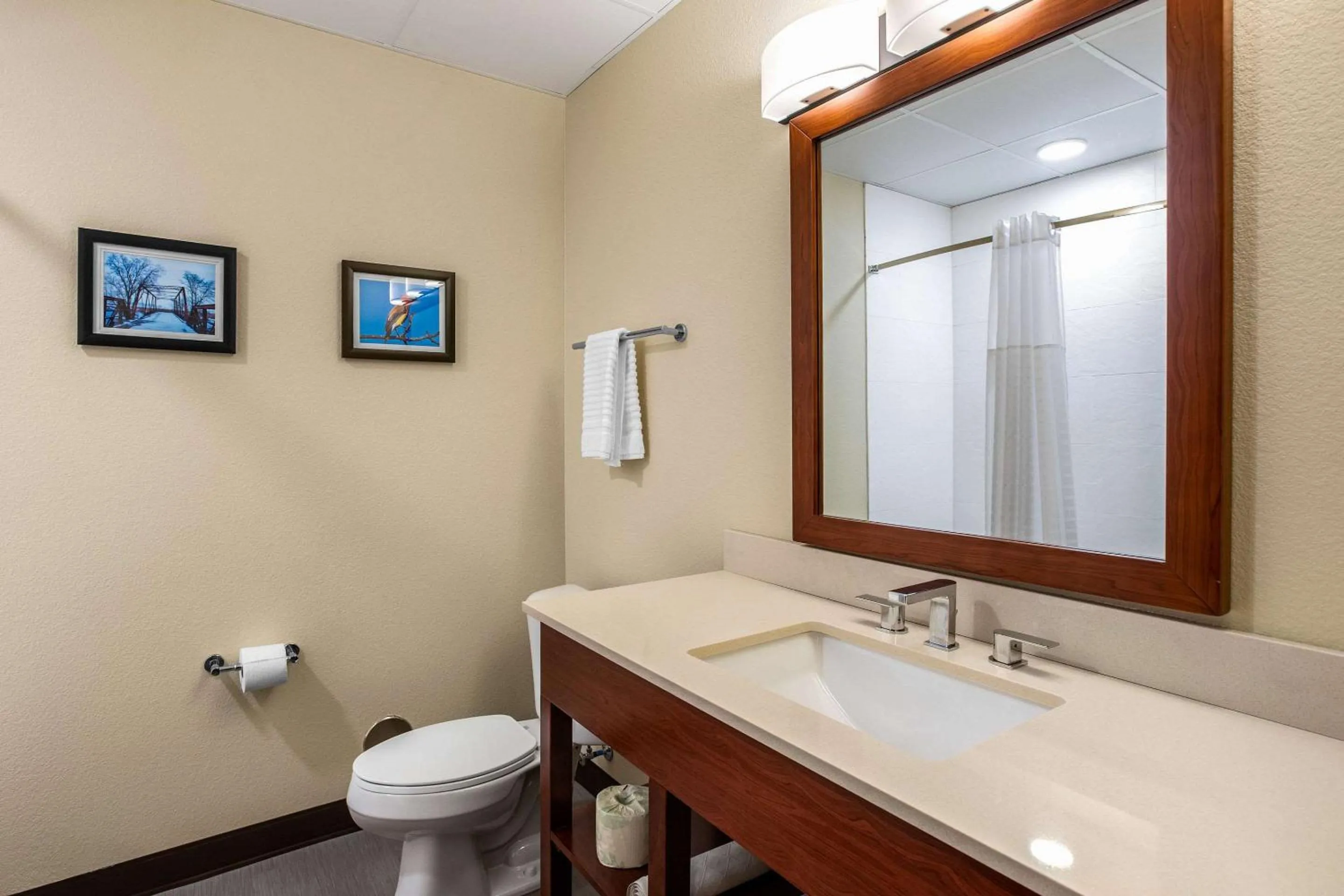 Bathroom in Comfort Inn & Suites Ames near ISU Campus