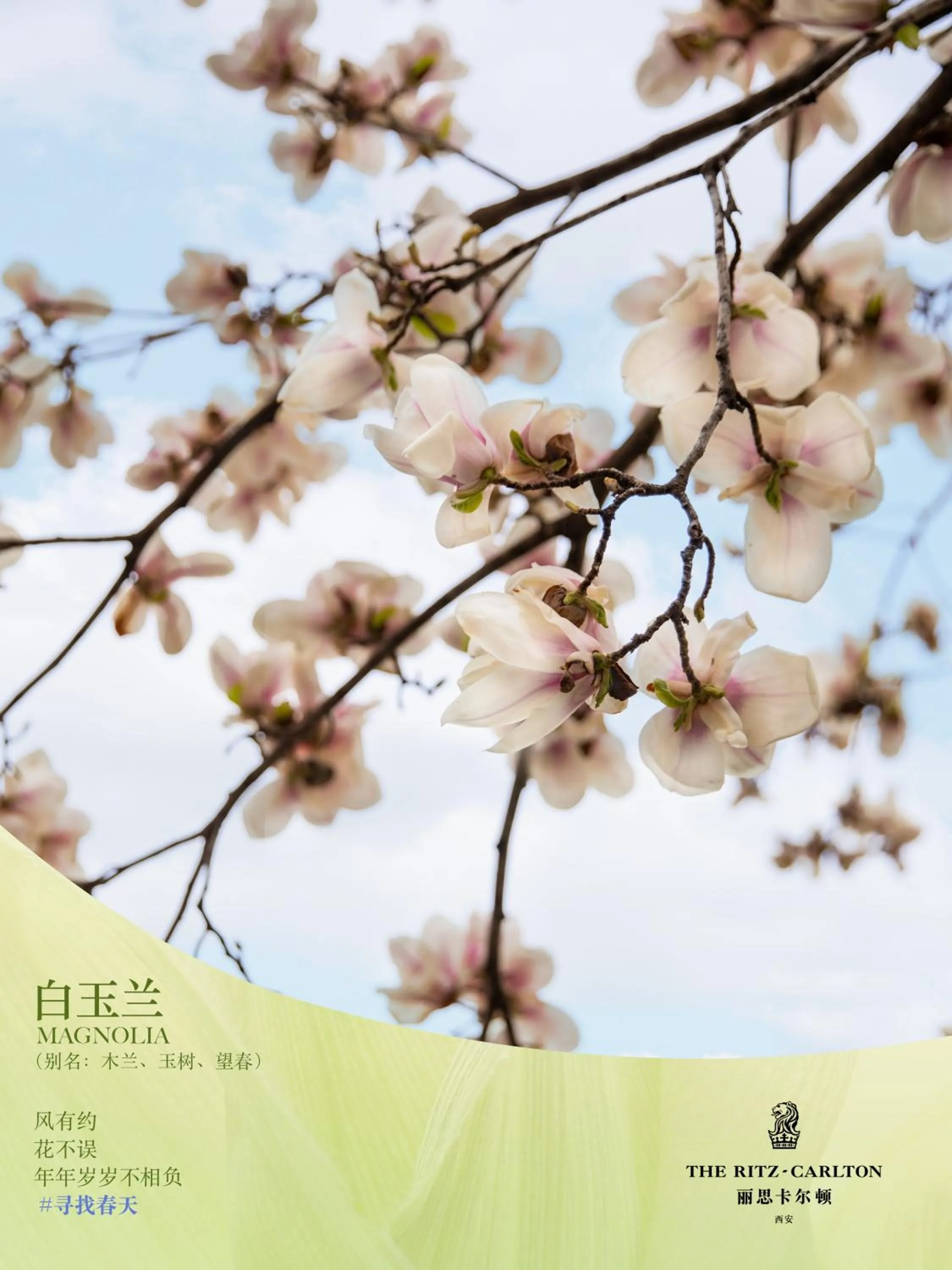 Natural landscape in The Ritz-Carlton, Xi'an