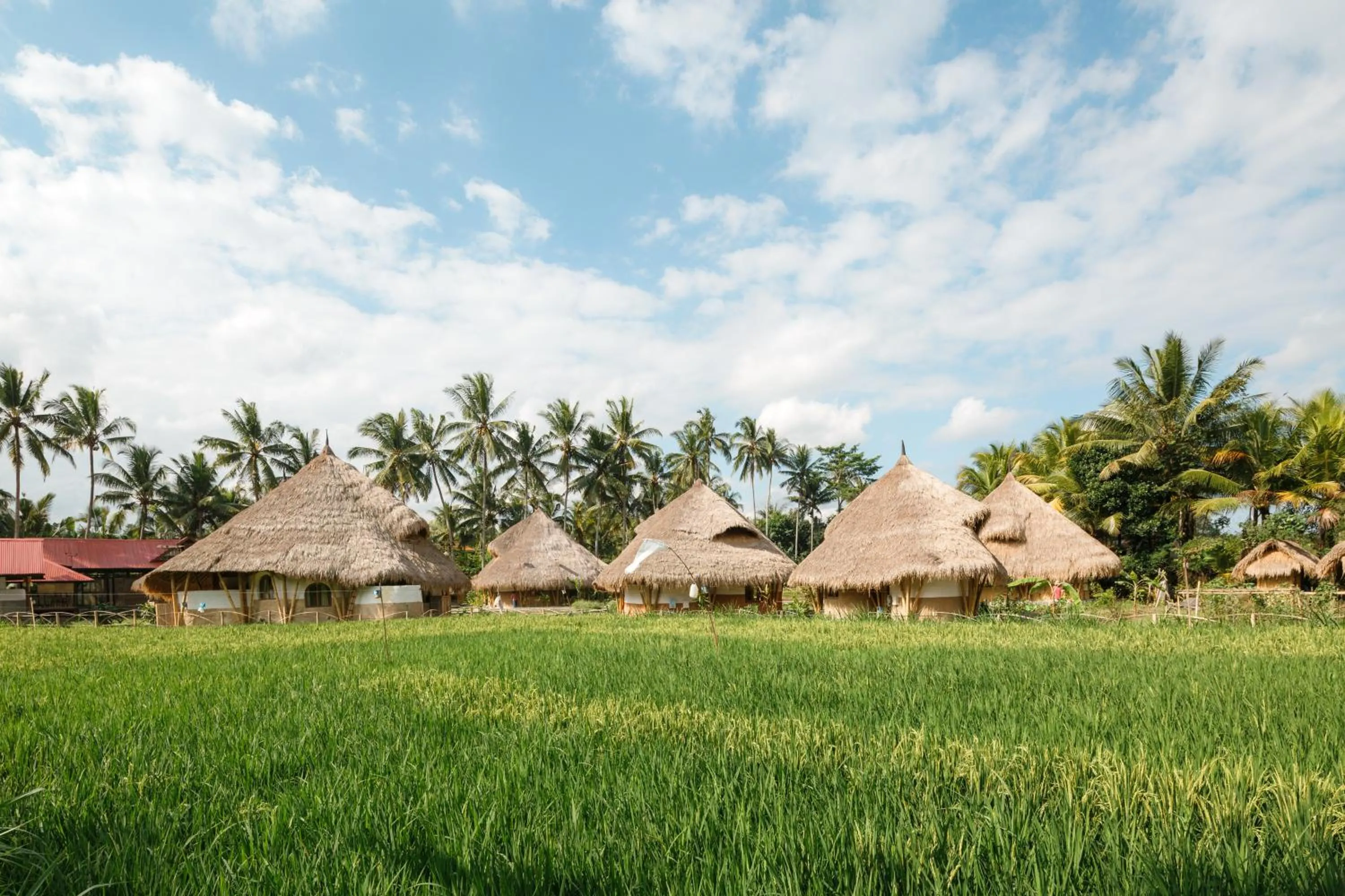 Day in Mana Earthly Paradise