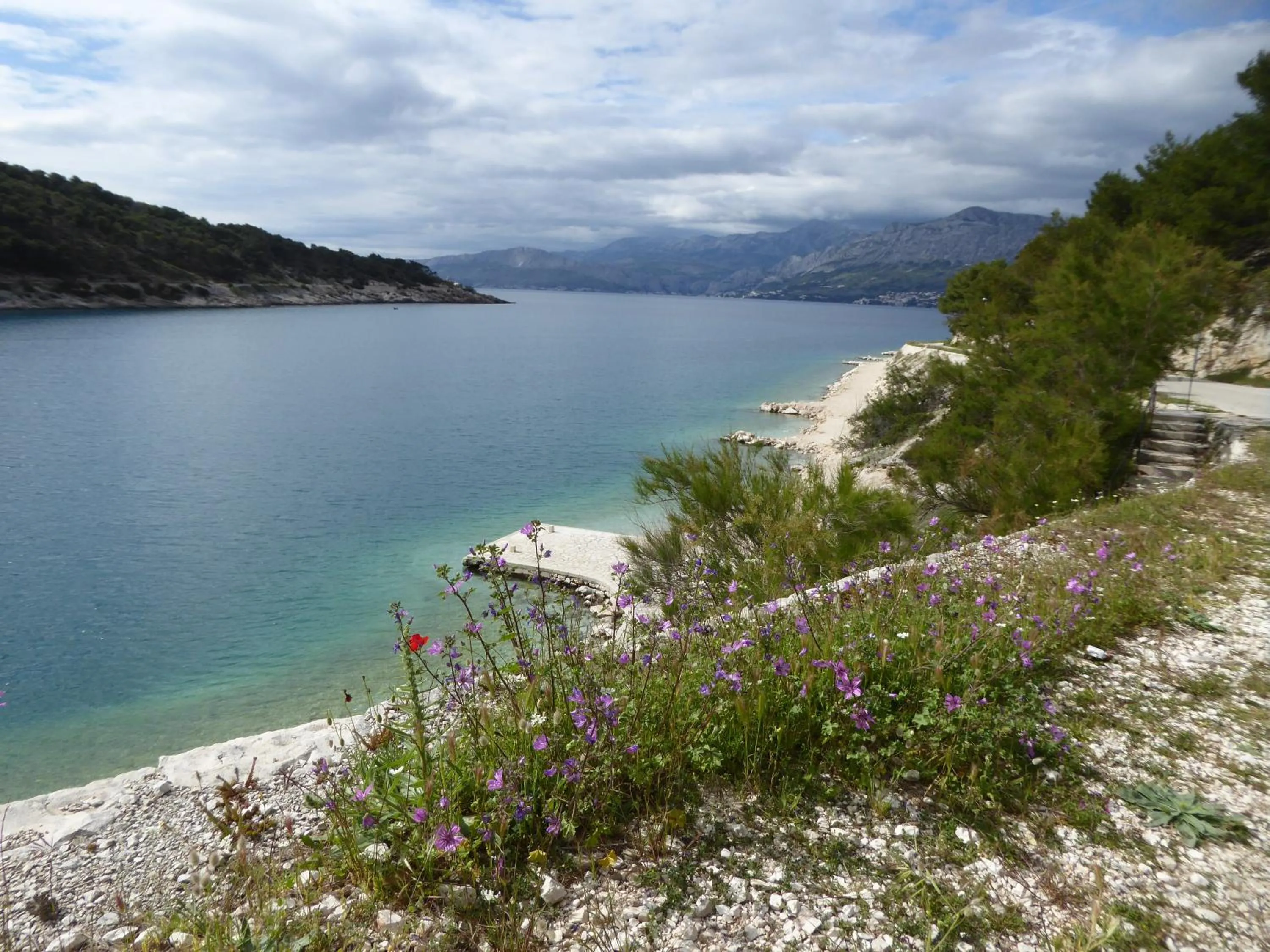 Natural landscape in Villa More
