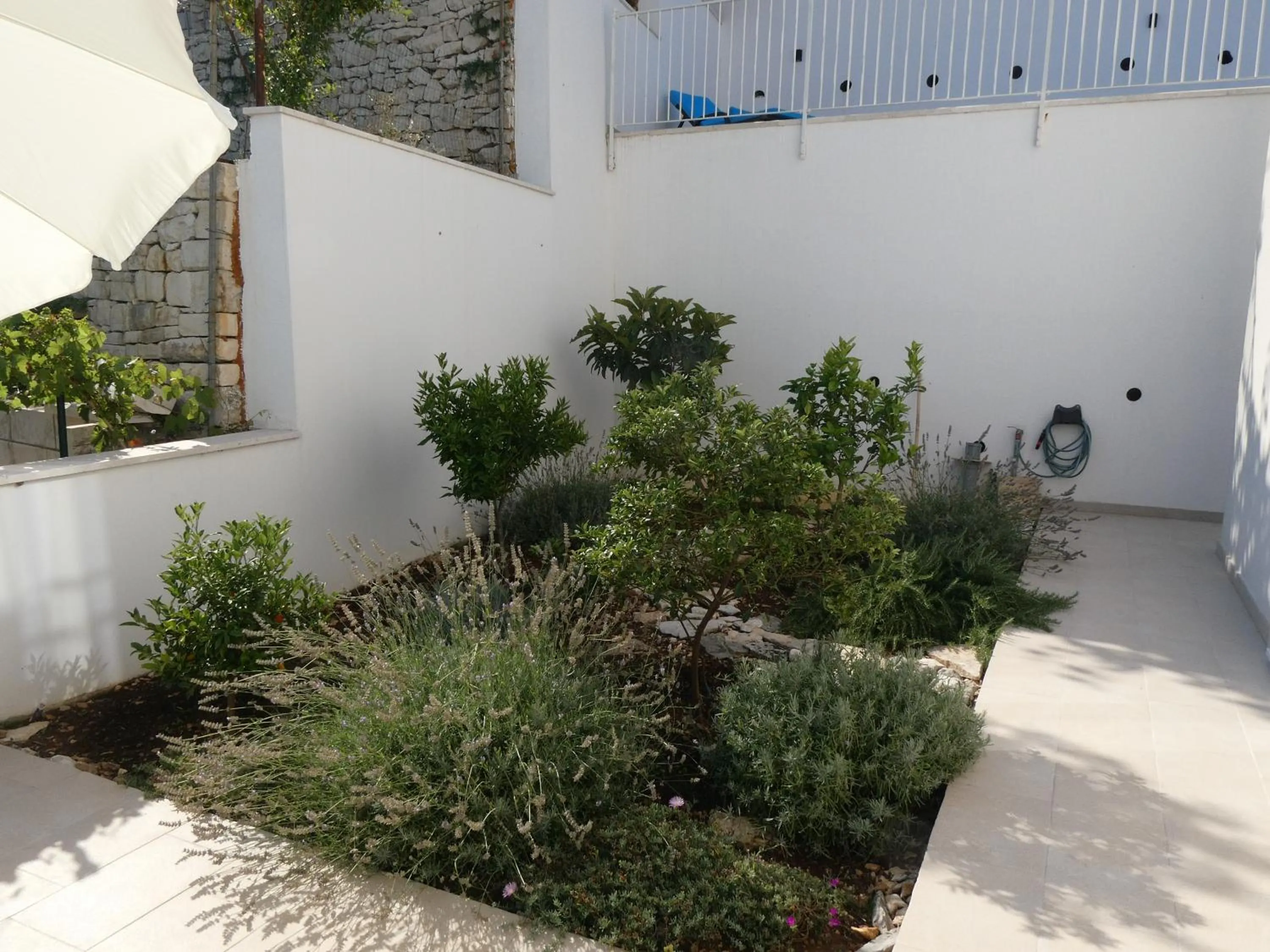 Garden in Villa More