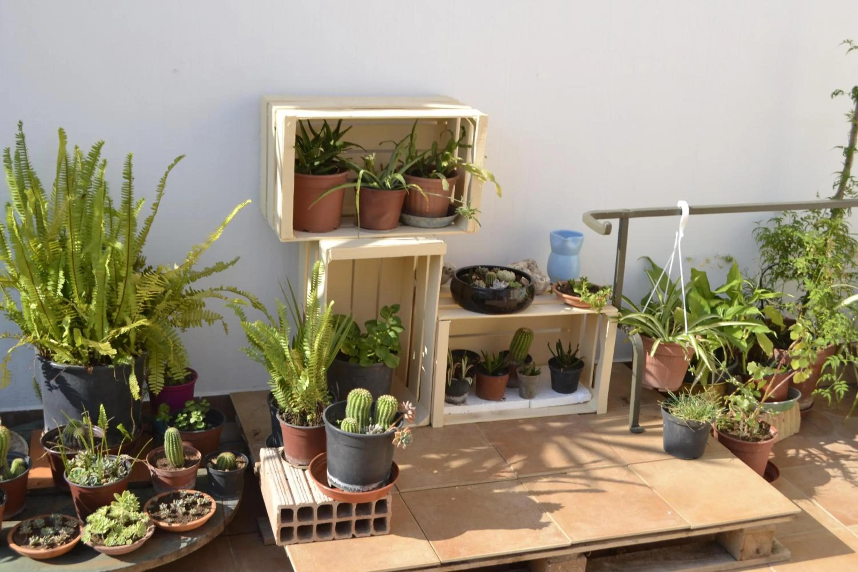 Garden in Attica B&B