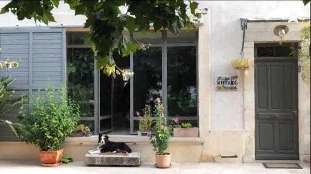 MAS DE LA RESPELIDO MAS DE LA RESPELIDO