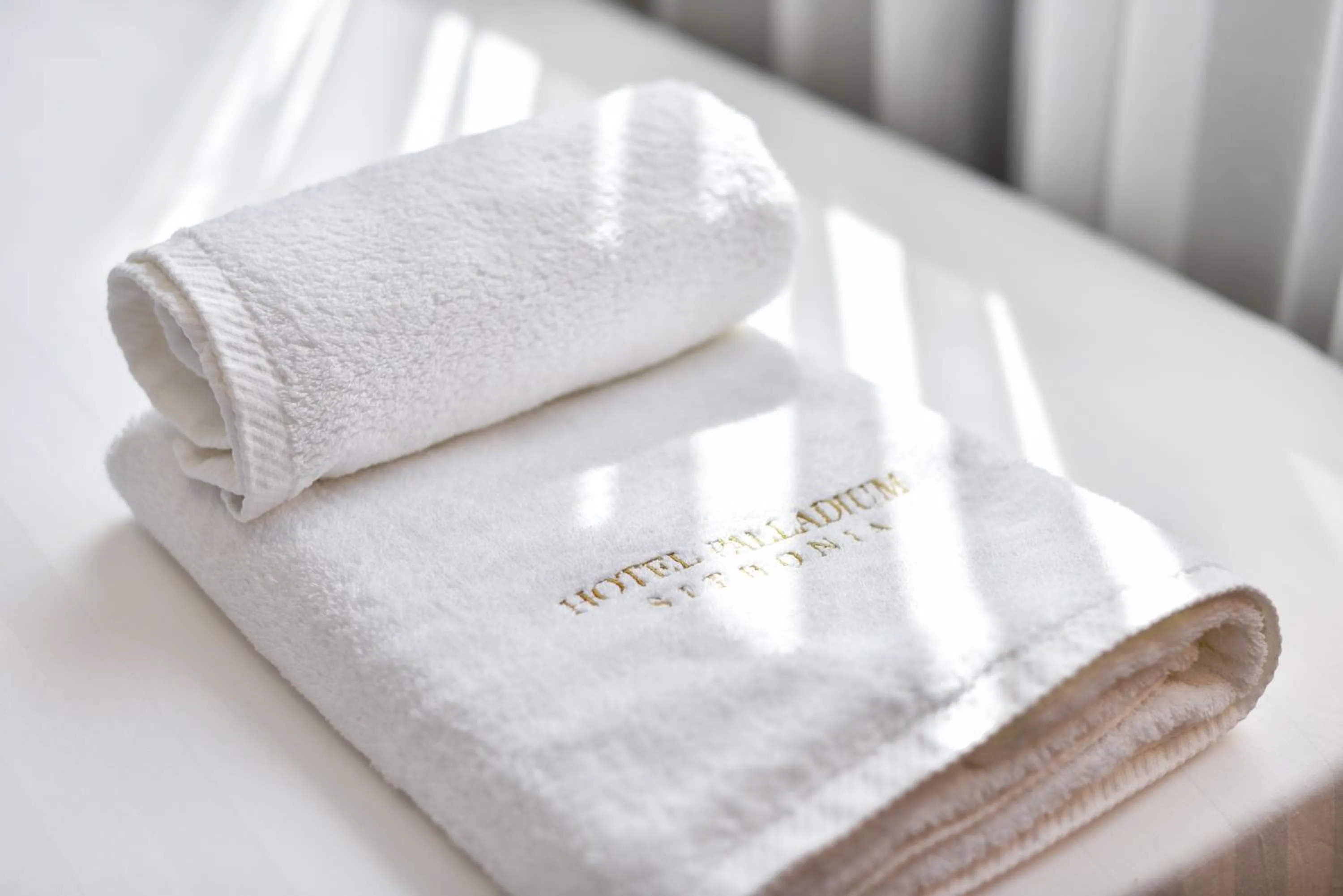 Property logo or sign in Hotel Palladium Sithonia