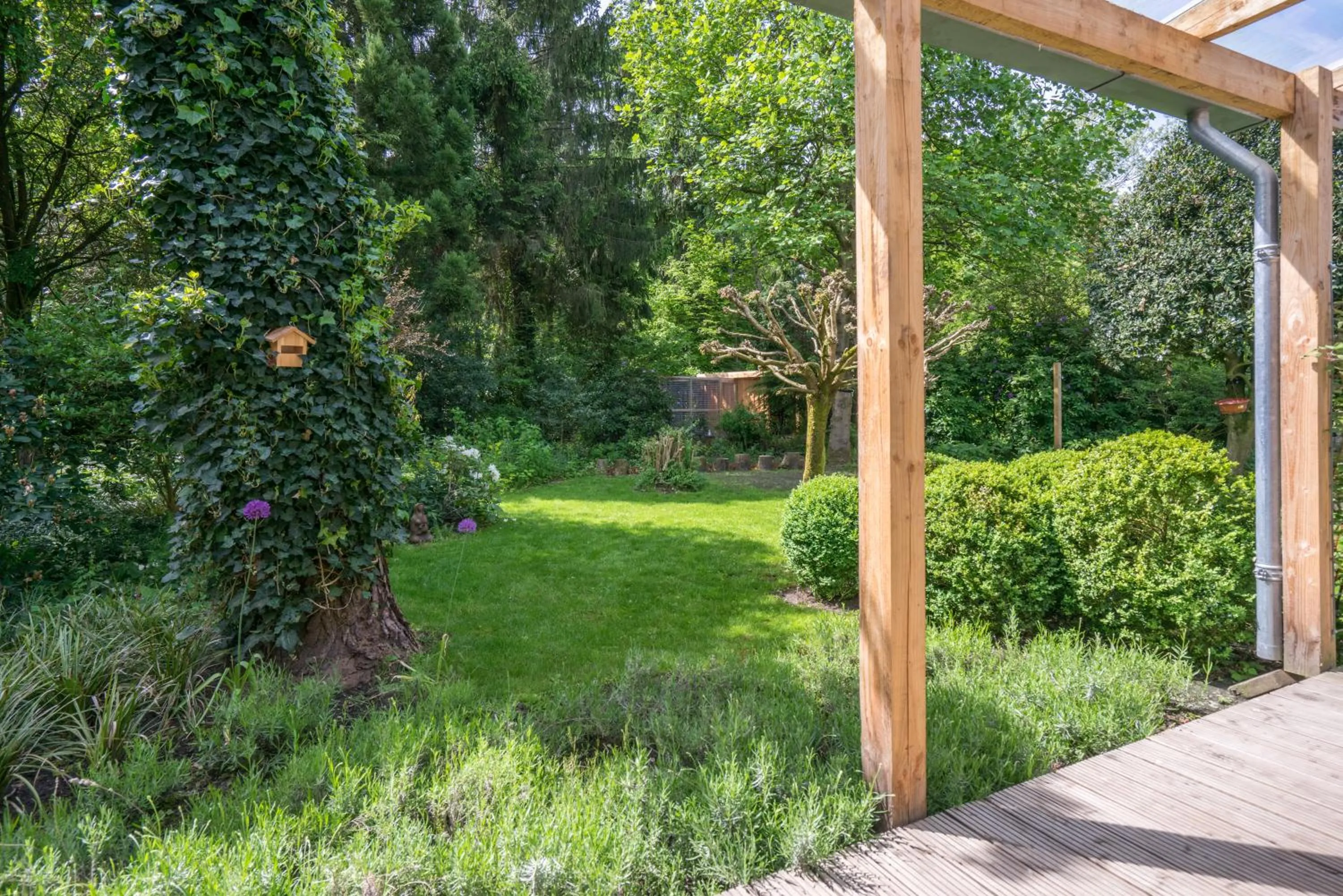 Garden view in B&Bveluwezoom