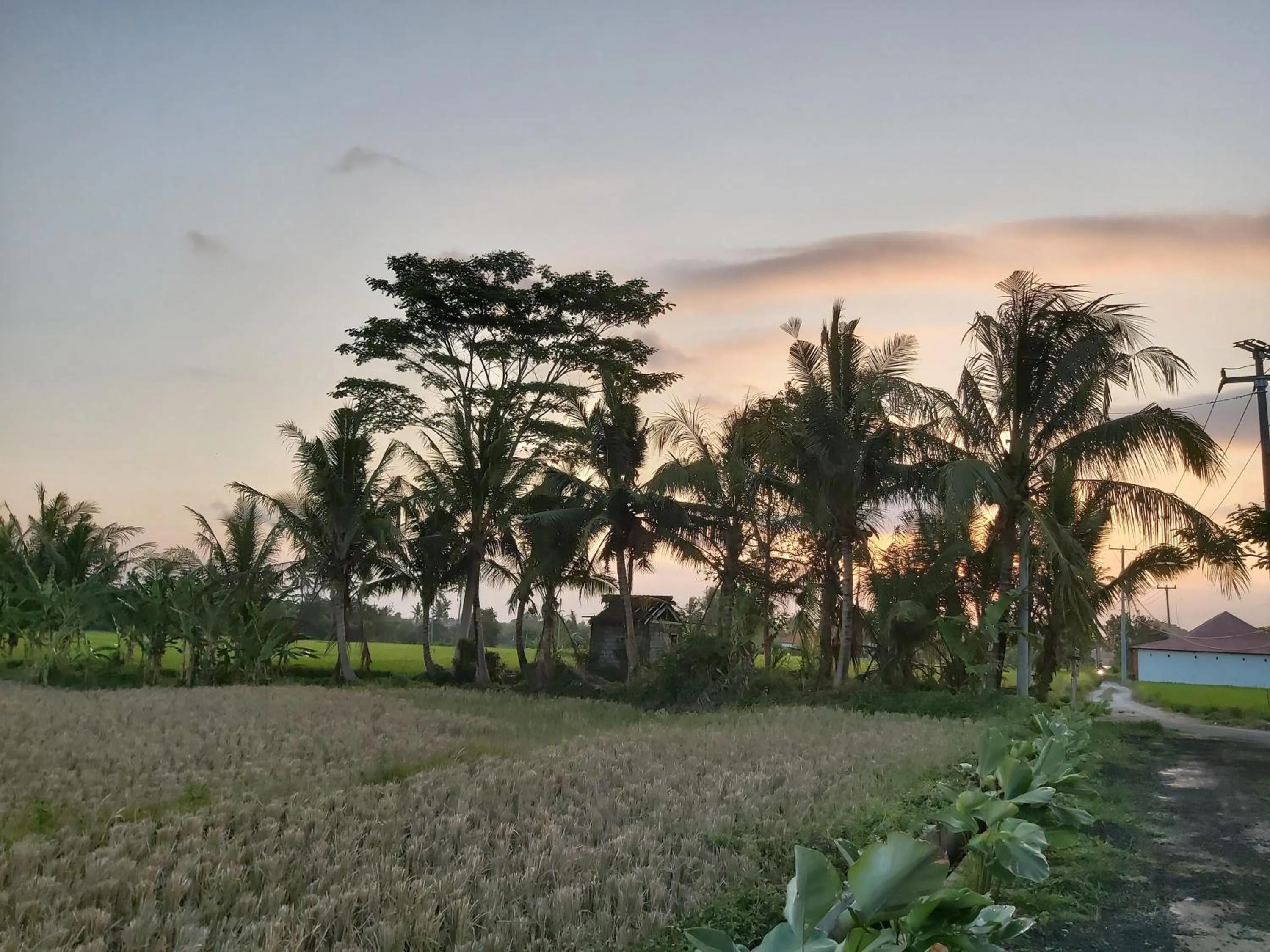 Natural landscape in Ayuna Family Ubud