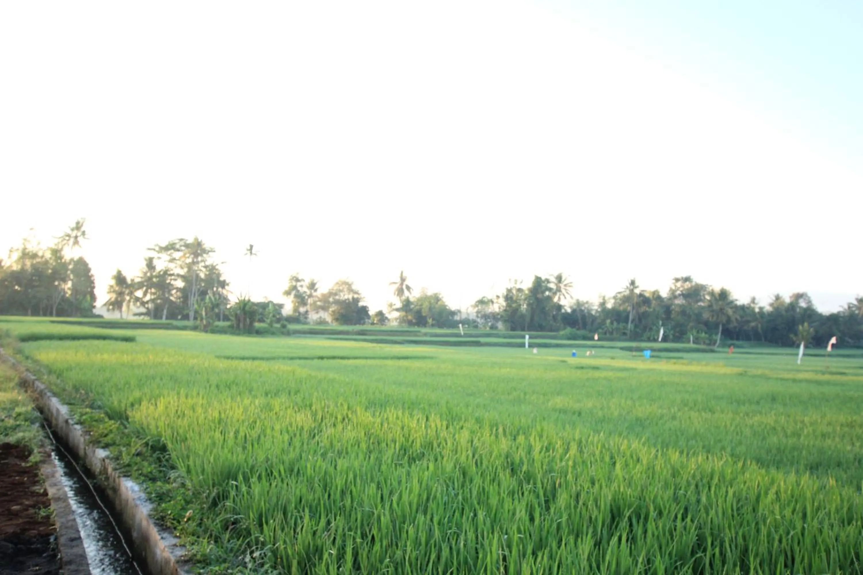 Property building in Ayuna Family Ubud