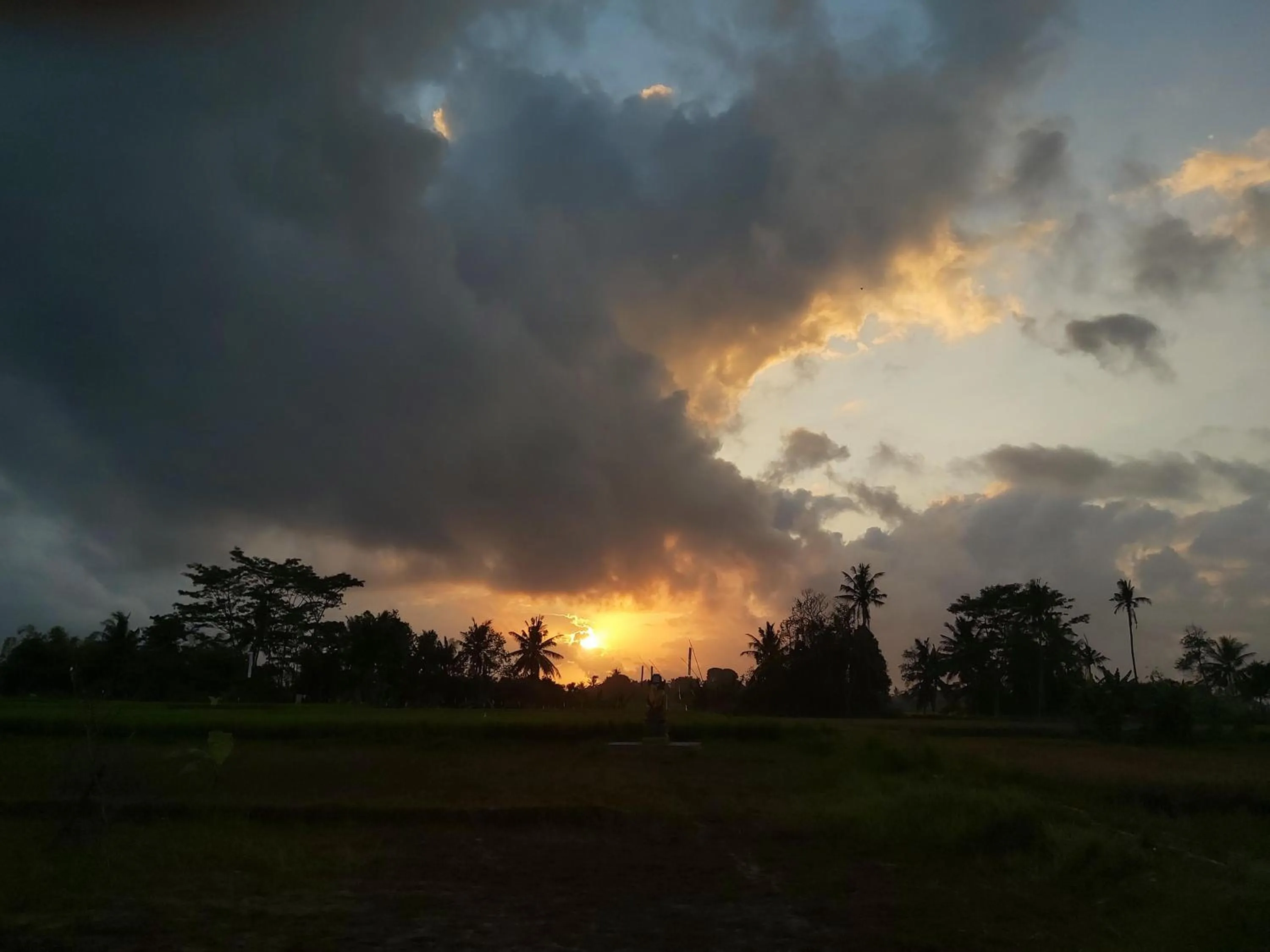 Natural landscape in Ayuna Family Ubud
