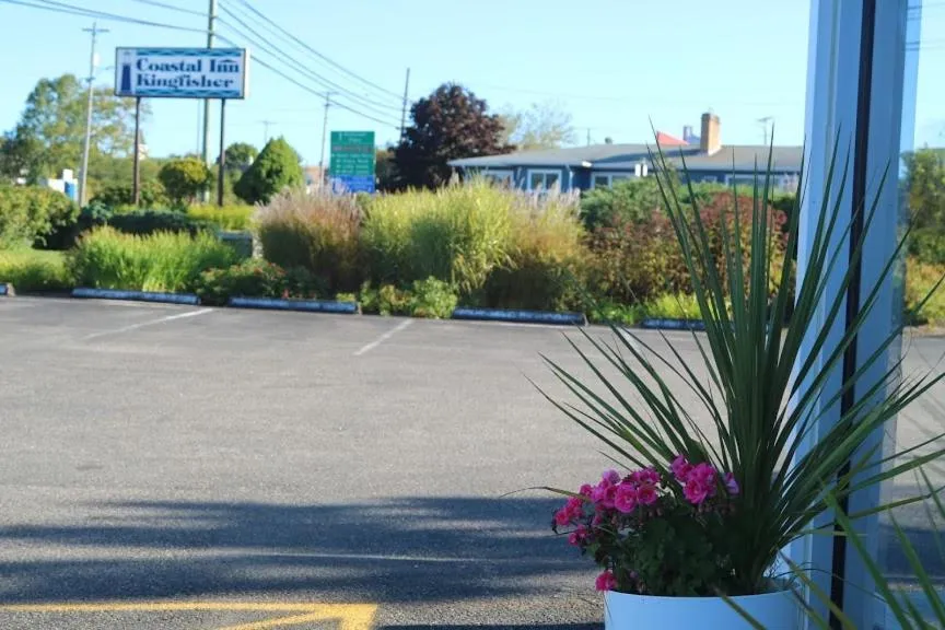 Garden in Coastal Inn - Kingfisher