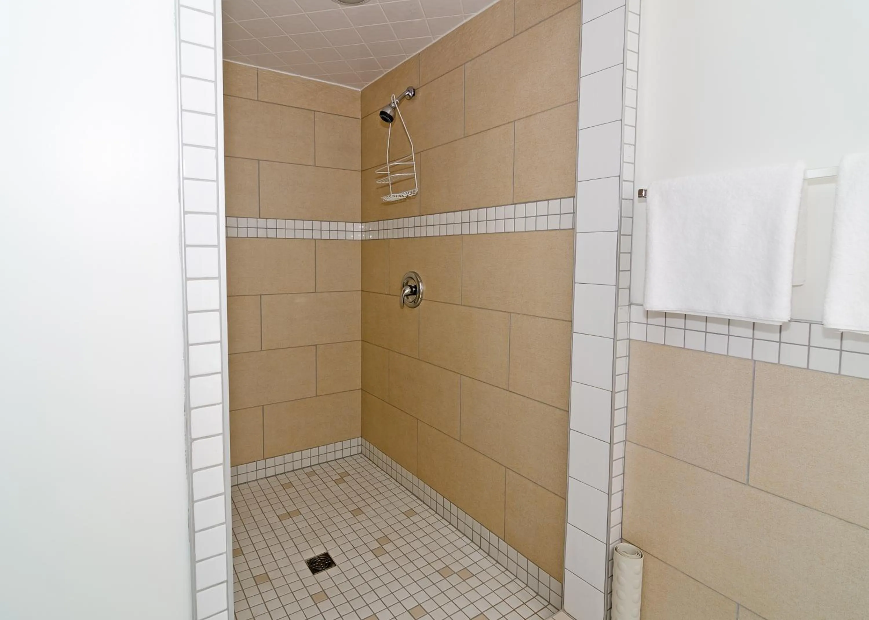 Shower in Coastal Inn - Kingfisher