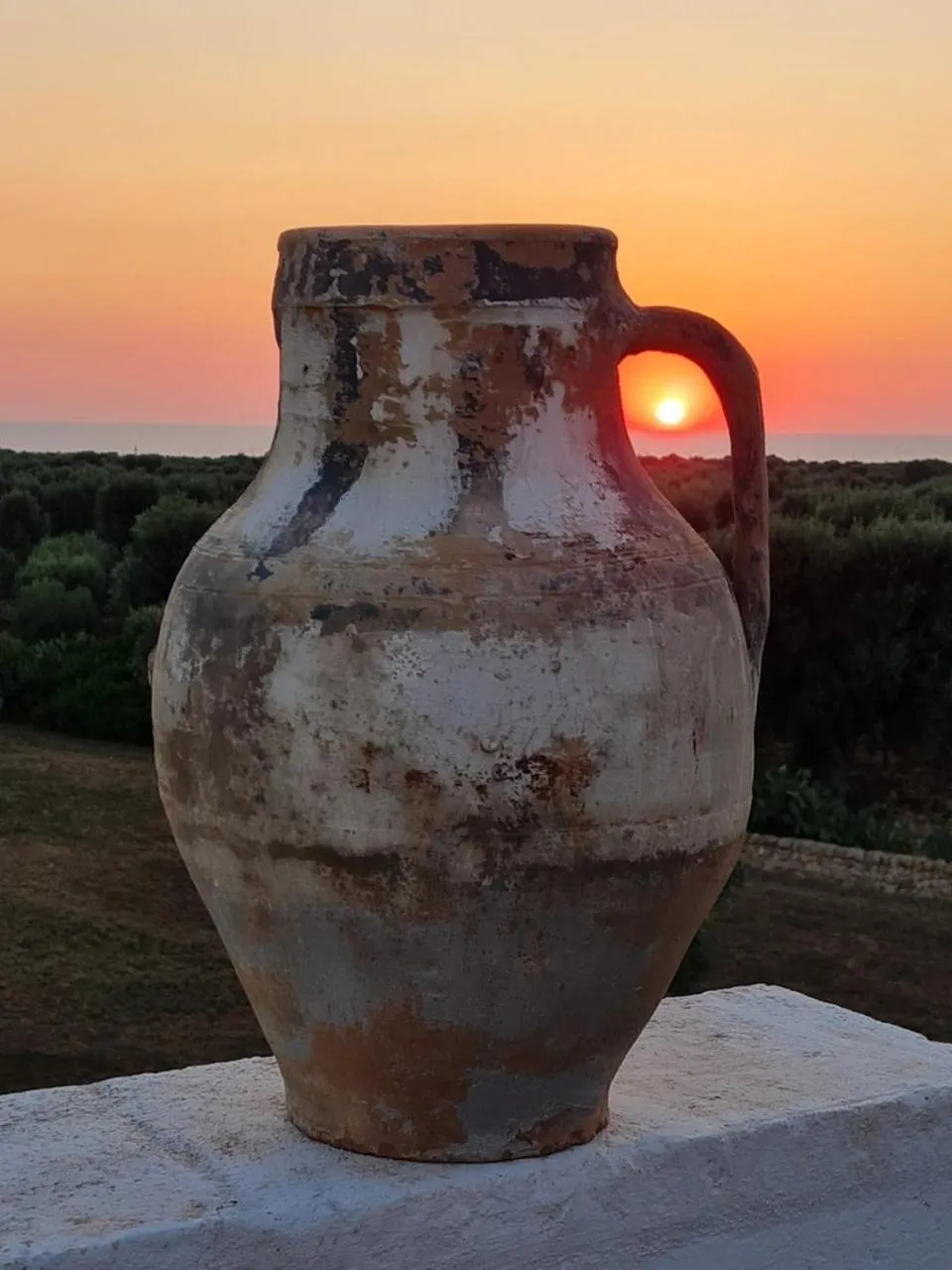 Natural landscape in Boutique Hotel Masseria Sottomasi