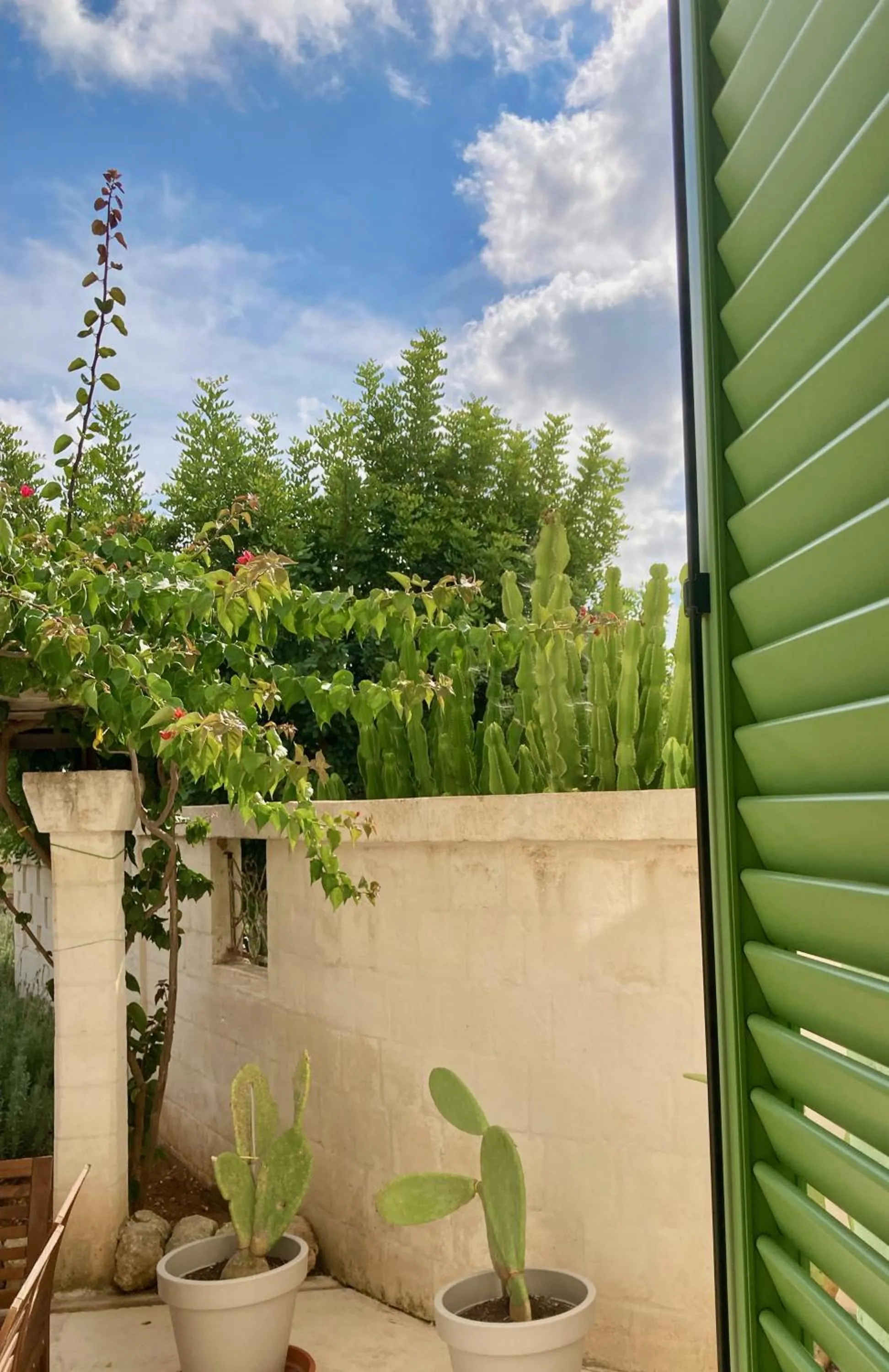 Balcony/Terrace in Boutique Hotel Masseria Sottomasi