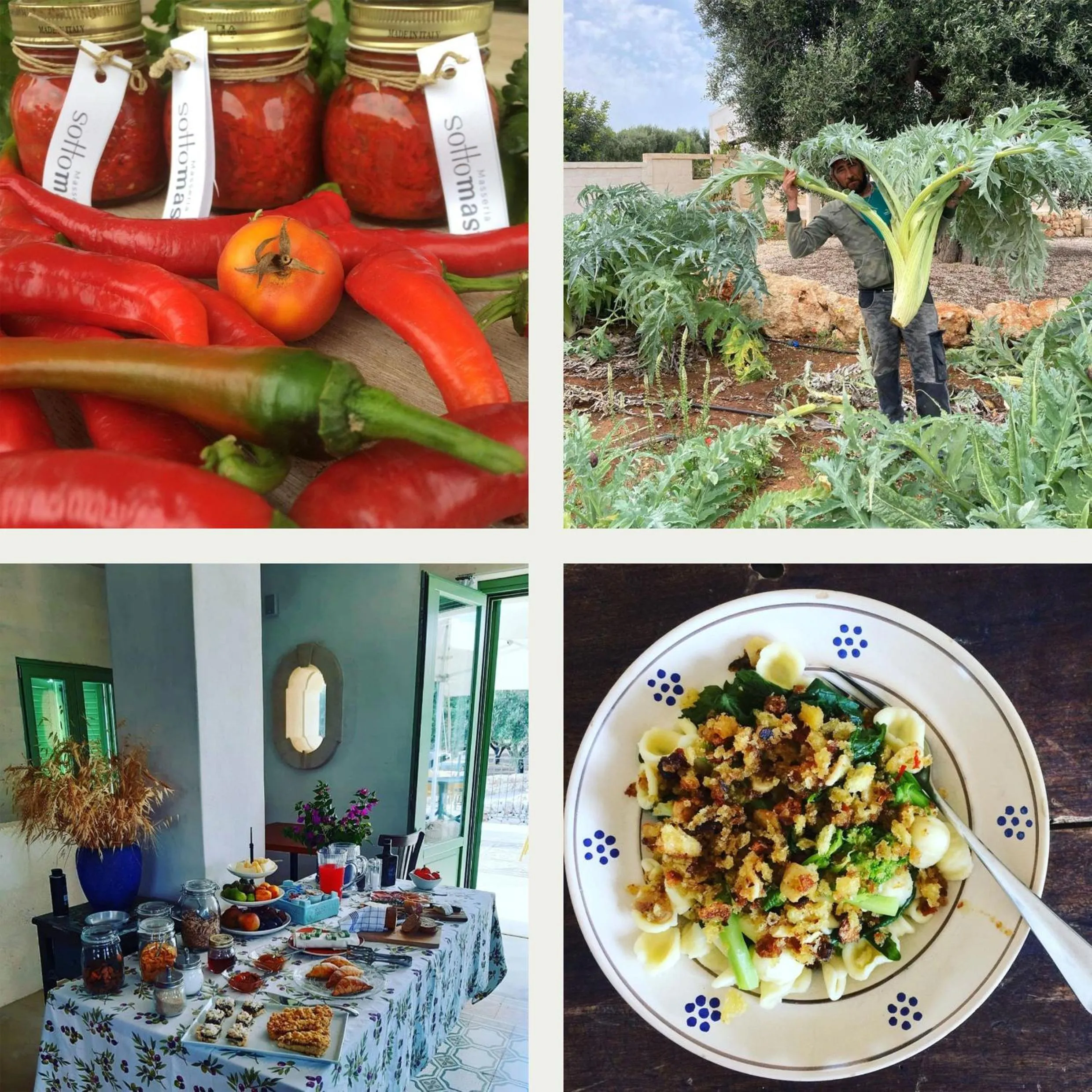 Restaurant/places to eat in Boutique Hotel Masseria Sottomasi