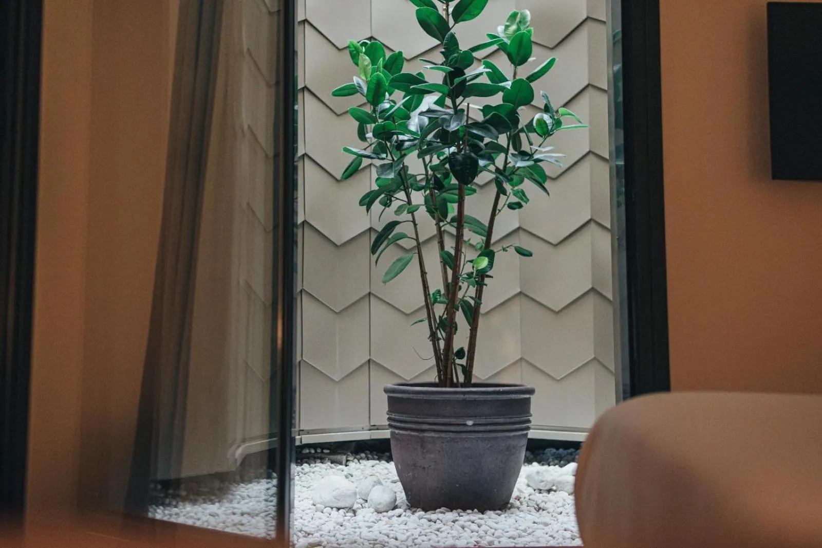 Inner courtyard view in Hotel Arbaso