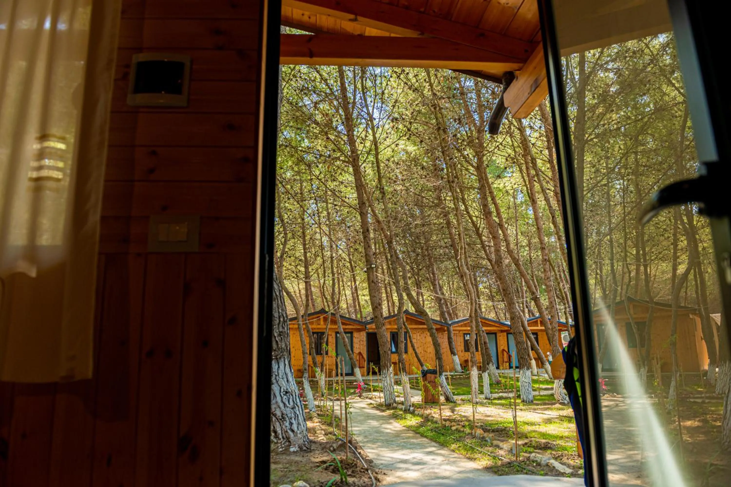 Garden view in ECUADOR Resort
