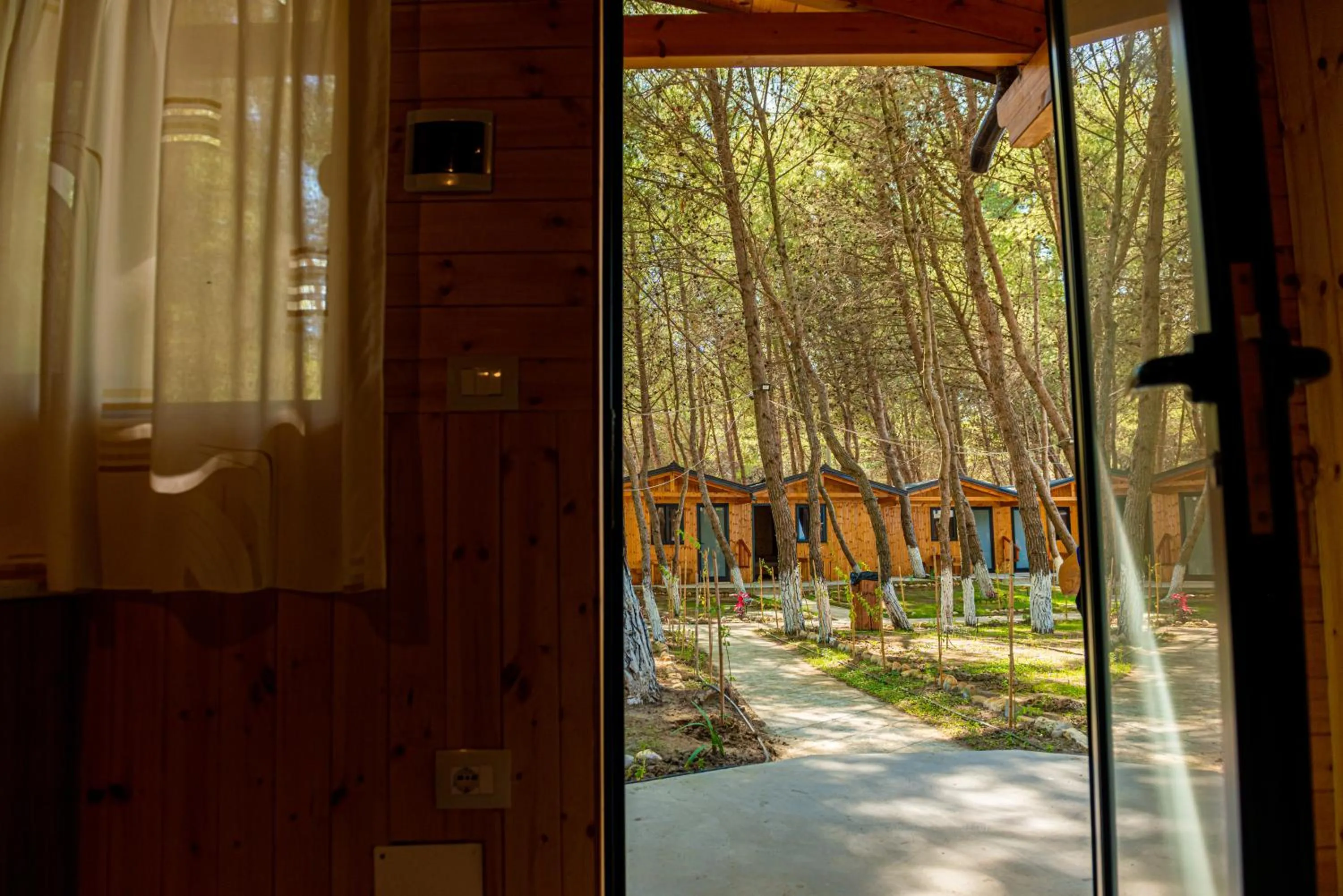 View (from property/room) in ECUADOR Resort