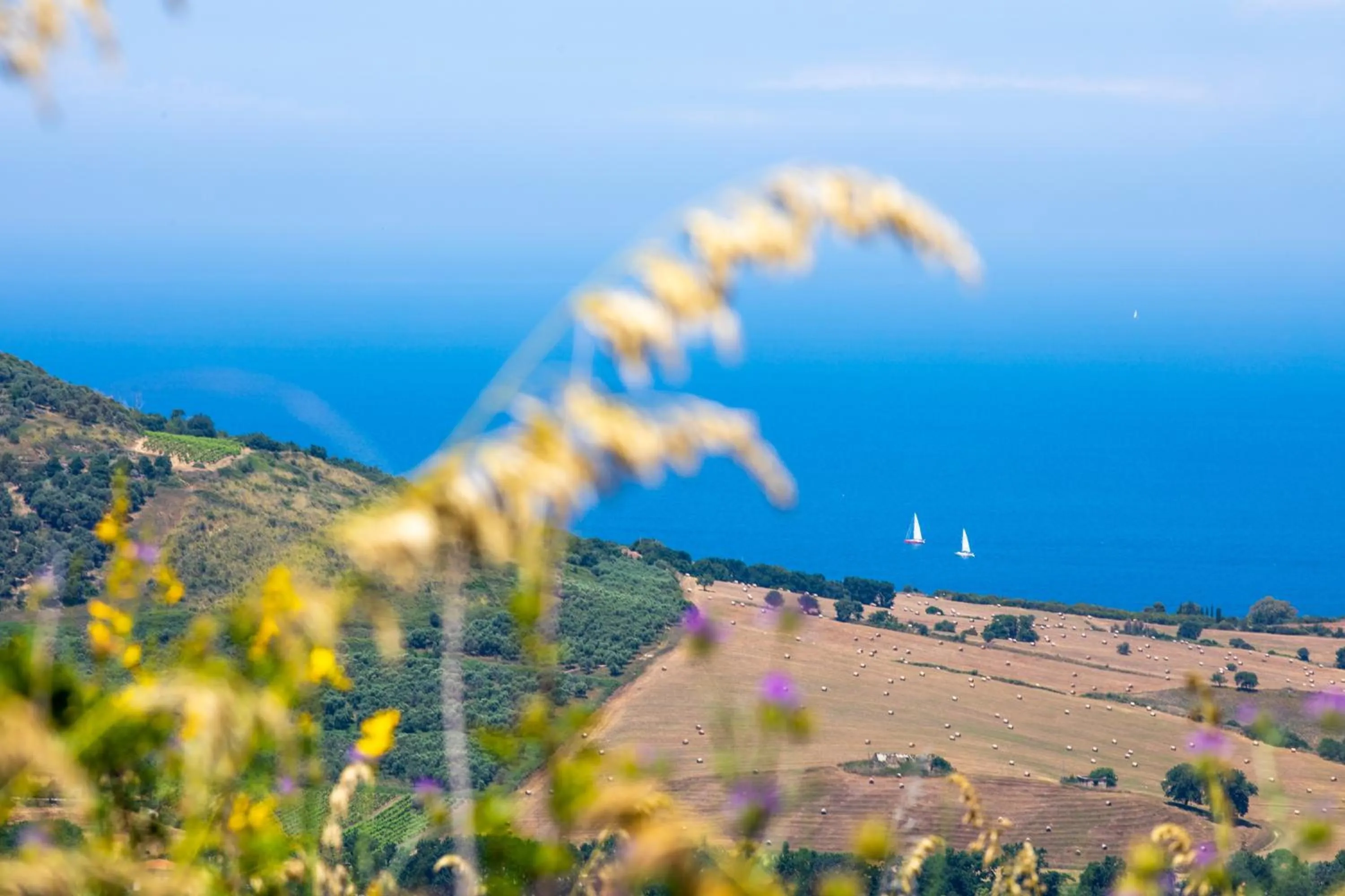 Natural landscape in Il Panorama Housing Cilento