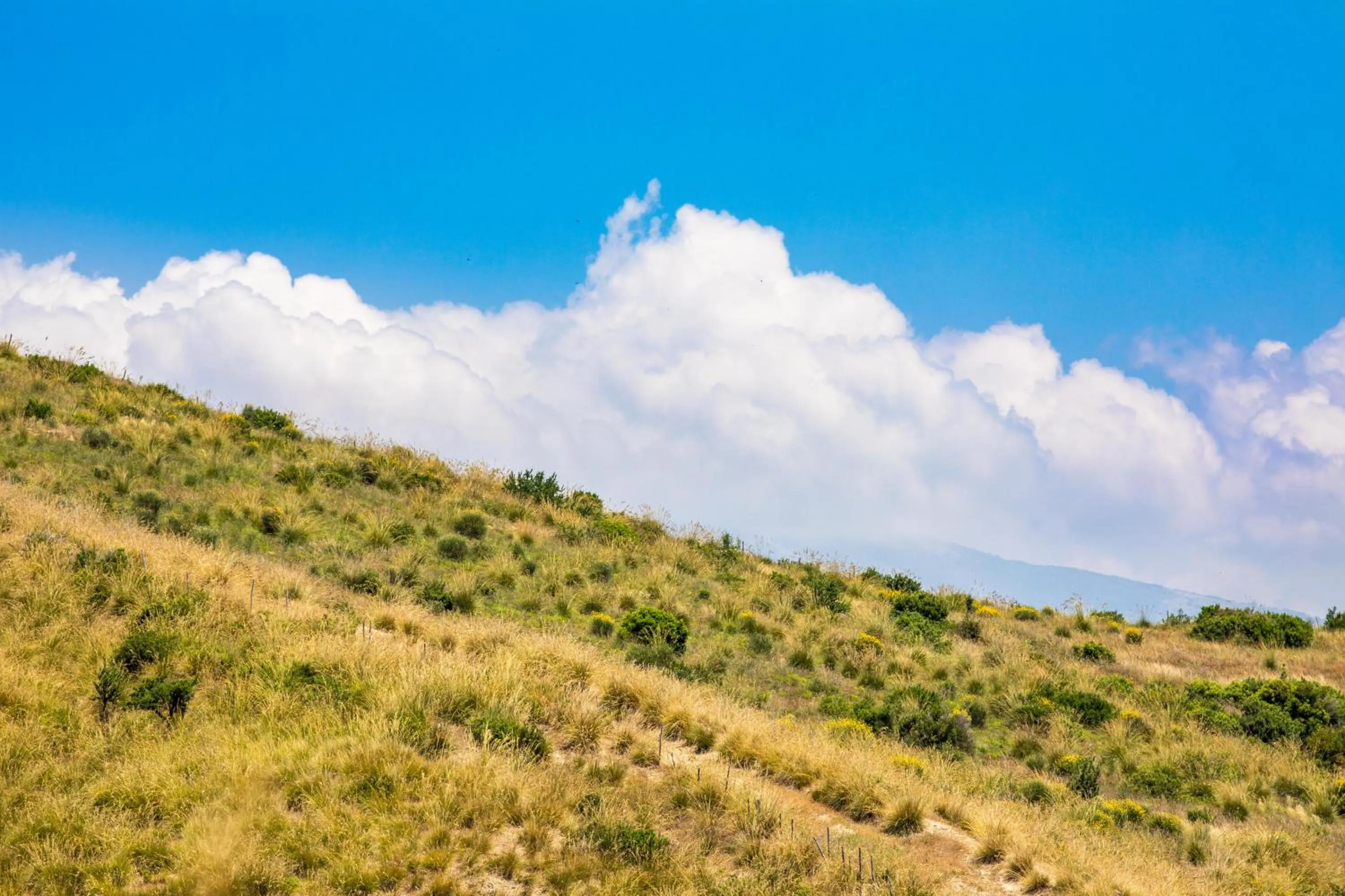 Natural landscape in Il Panorama Housing Cilento