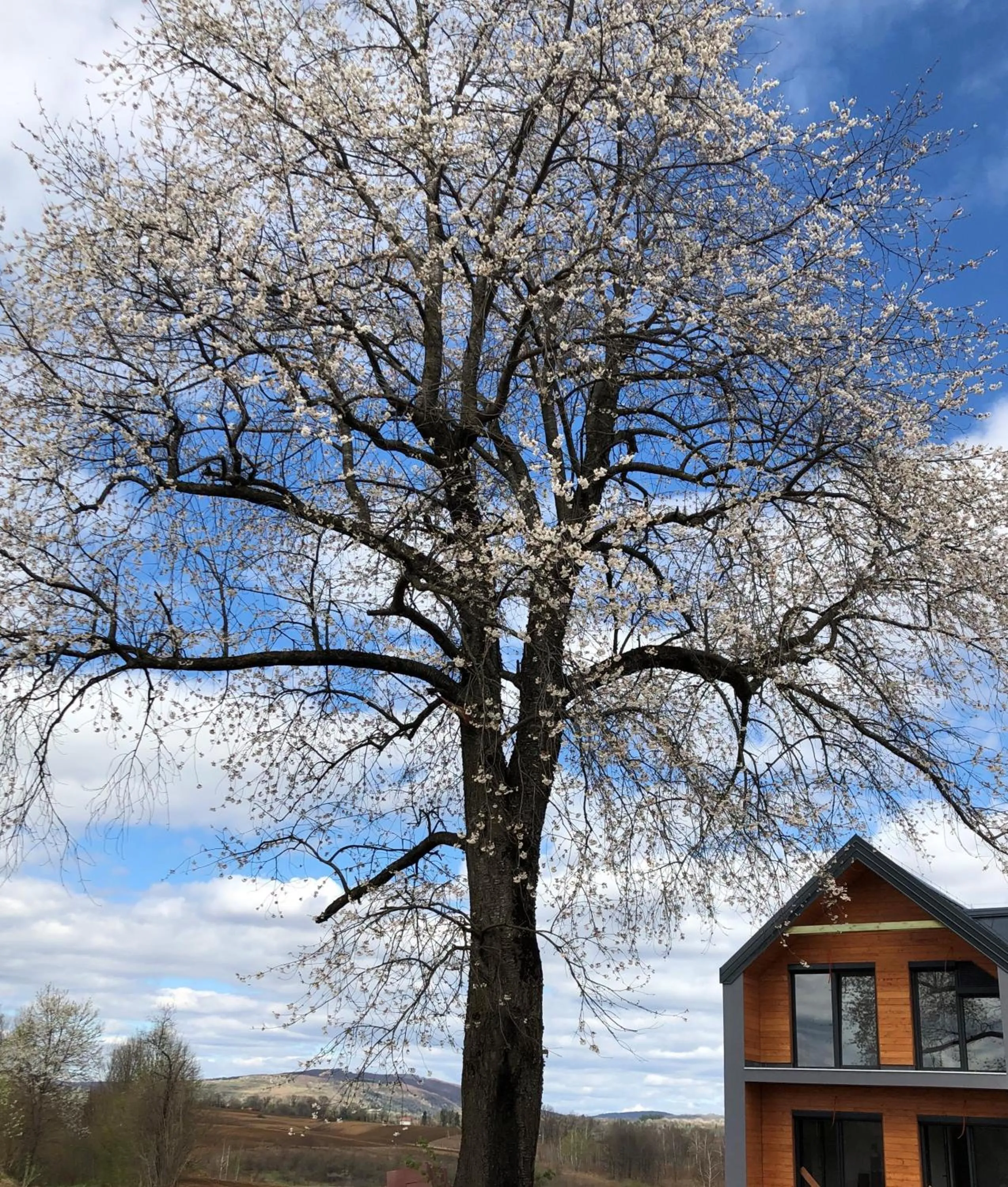 Spring in B&B Villa Dolina Plitvice