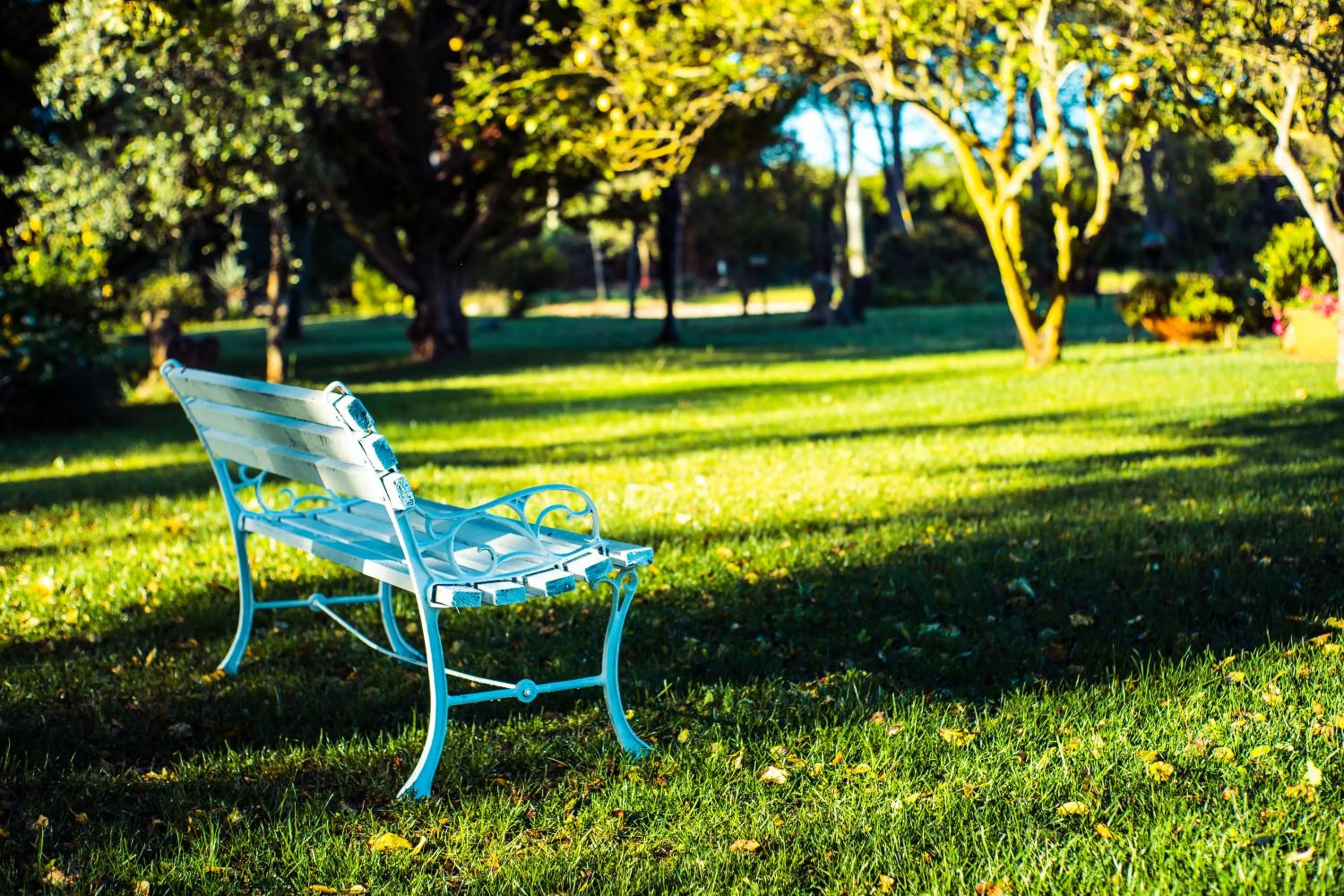Garden in THE VINEYARDS
