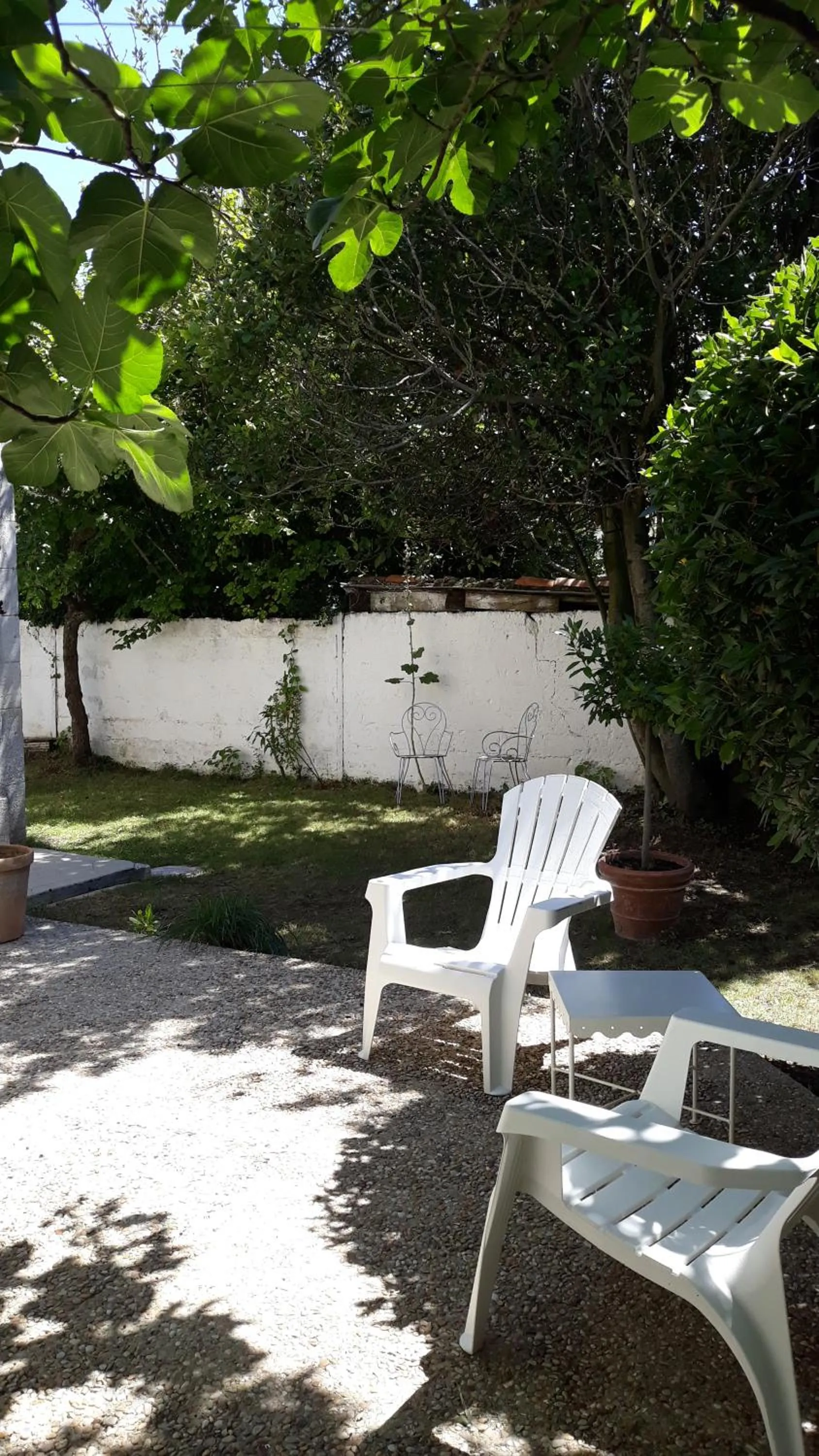 Garden in La Venelle de Jéricho