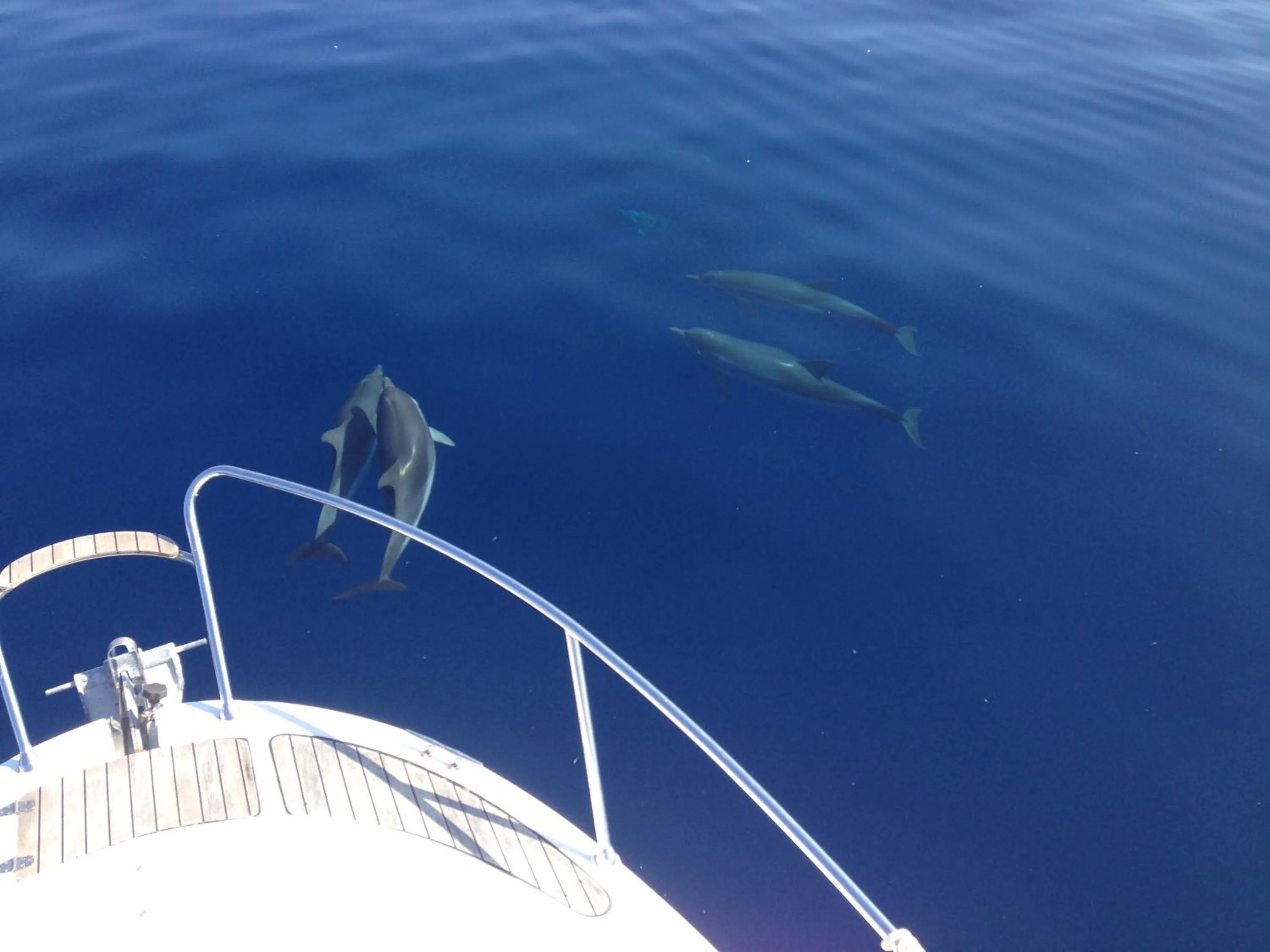 Property building in B&B Duomo Pizzo ApartHotel