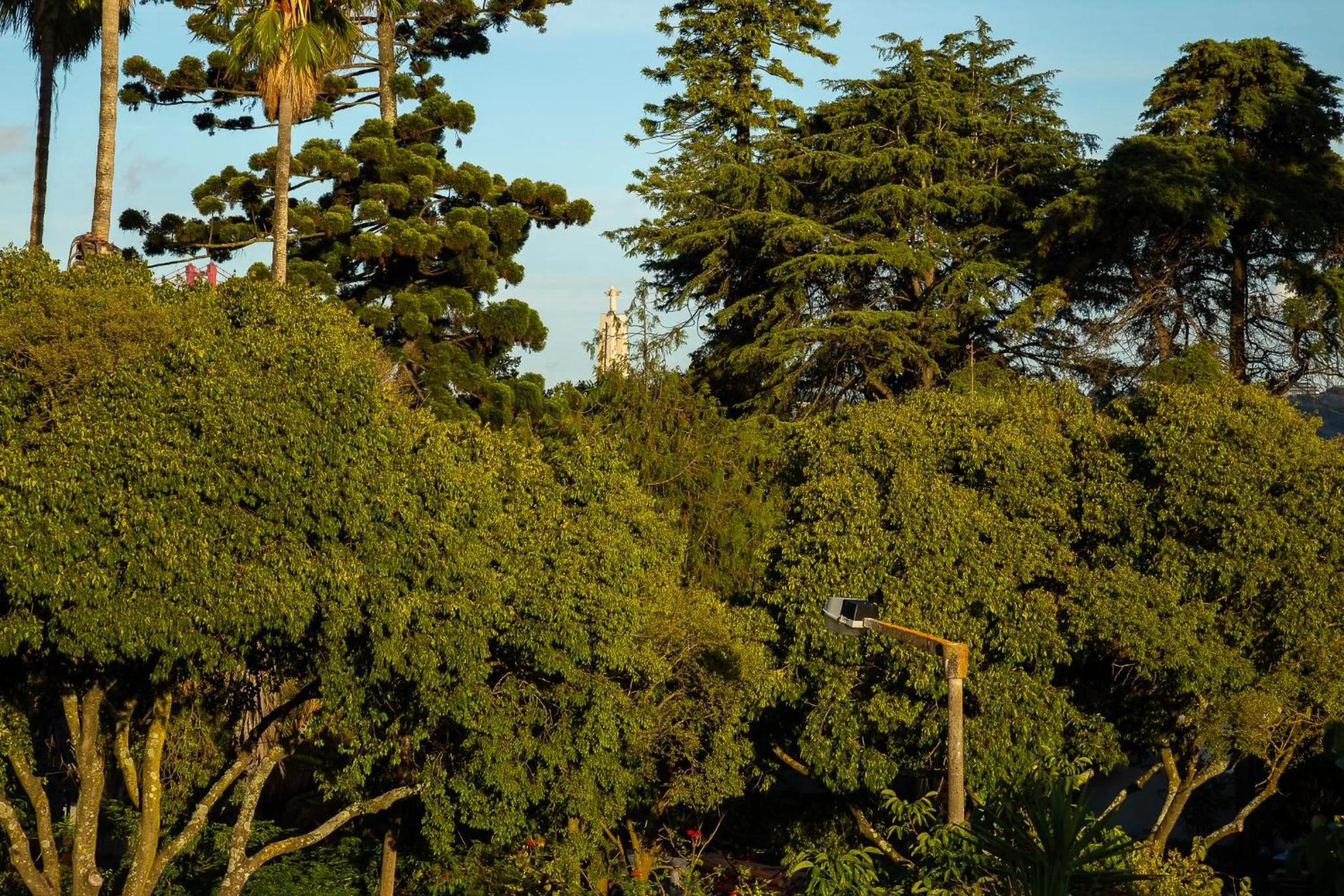 Natural landscape in Geronimo Guest House Belém