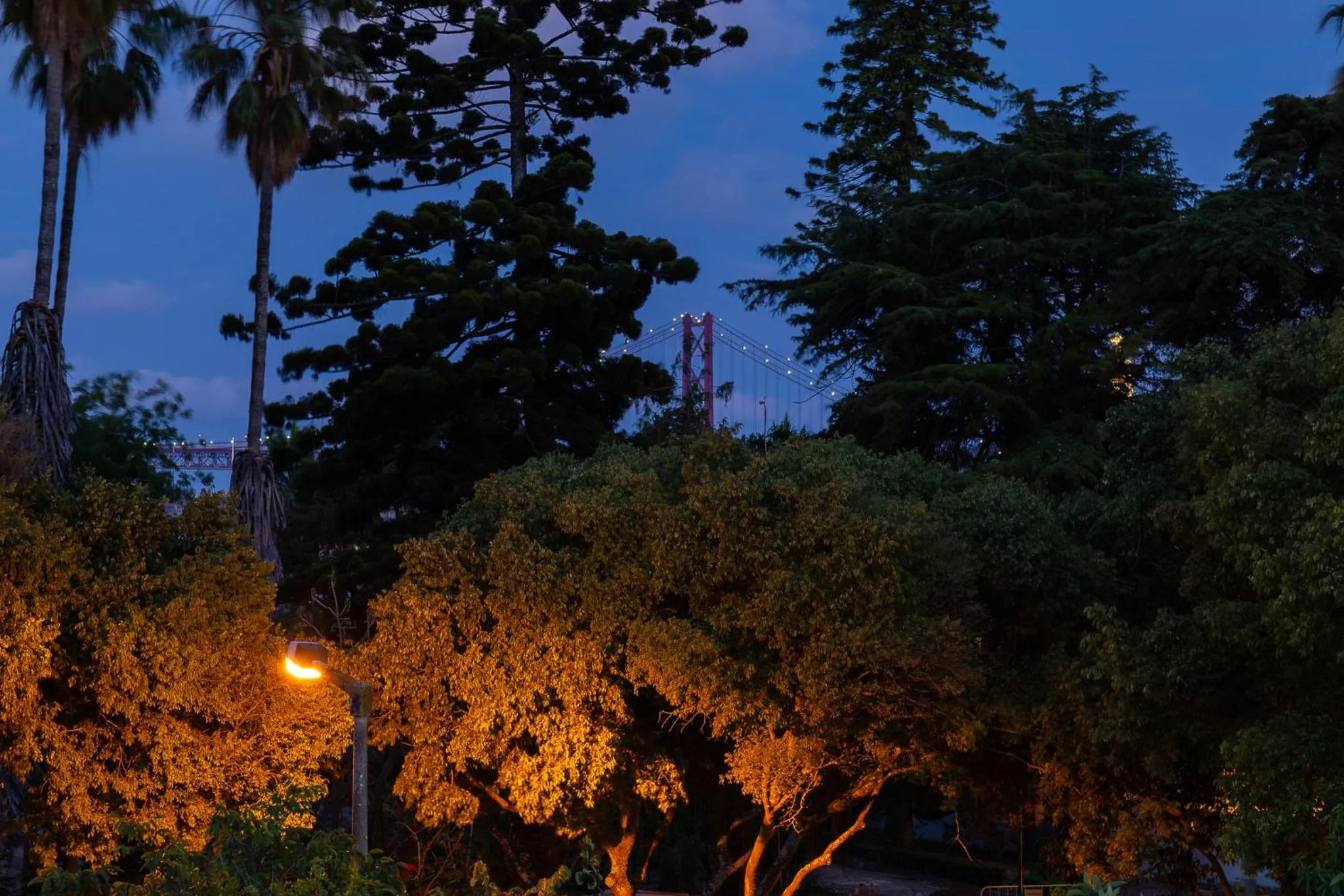 Natural landscape in Geronimo Guest House Belém