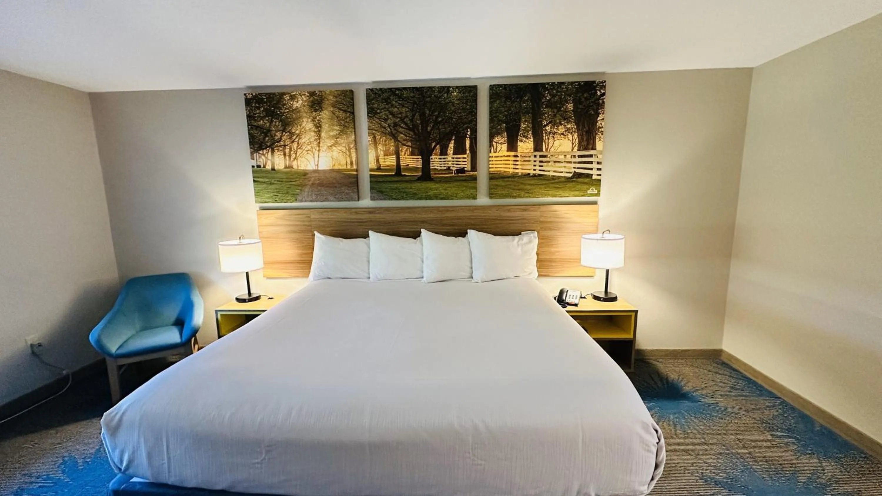 Bed in Days Inn & Suites by Wyndham Wynne