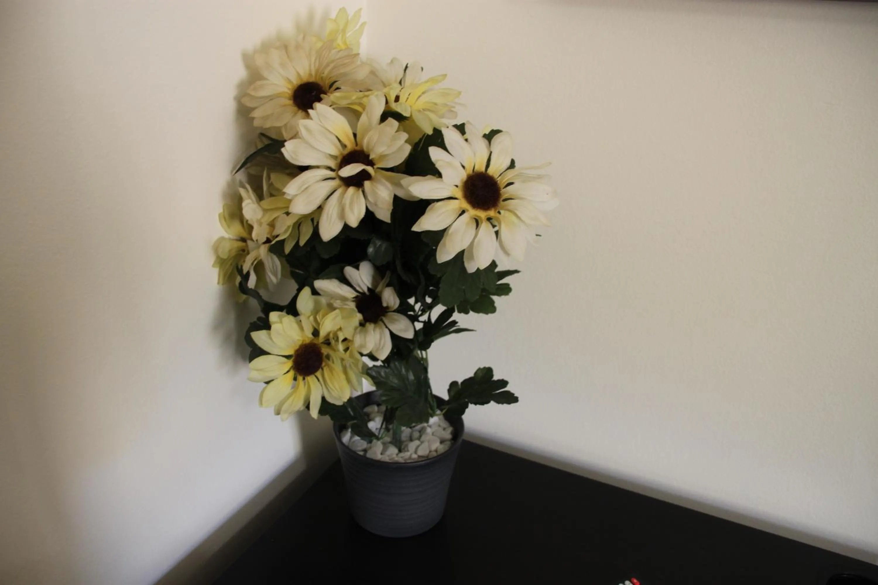 B&B Alexander-Room and Breakfast