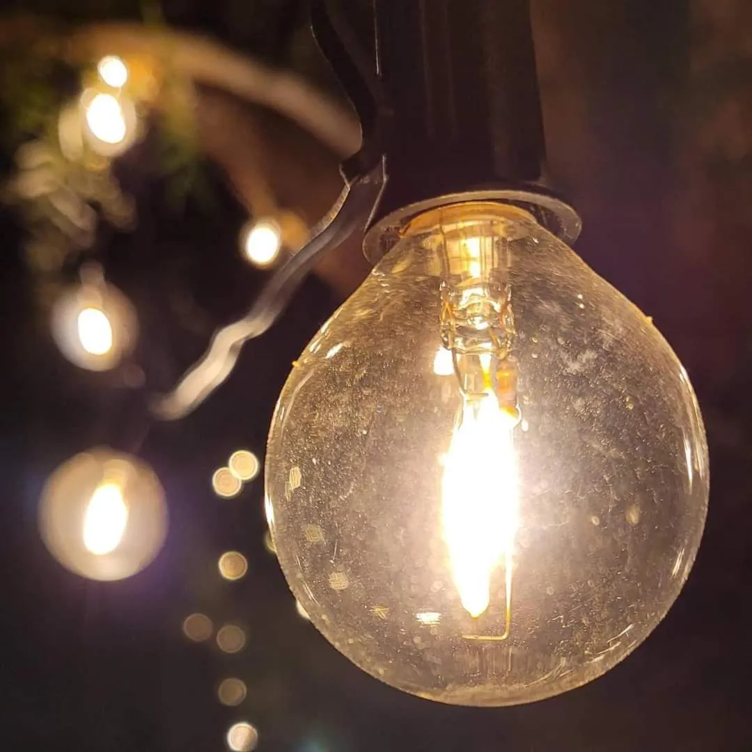 Garden in Domus Olea