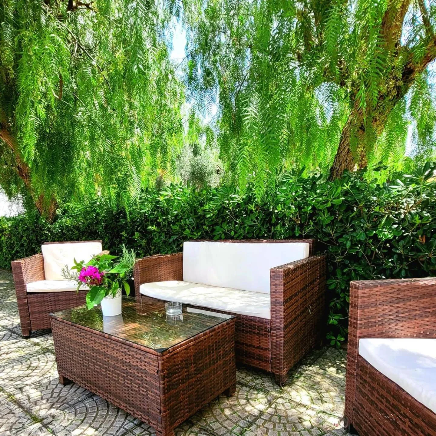 Property building in Domus Olea