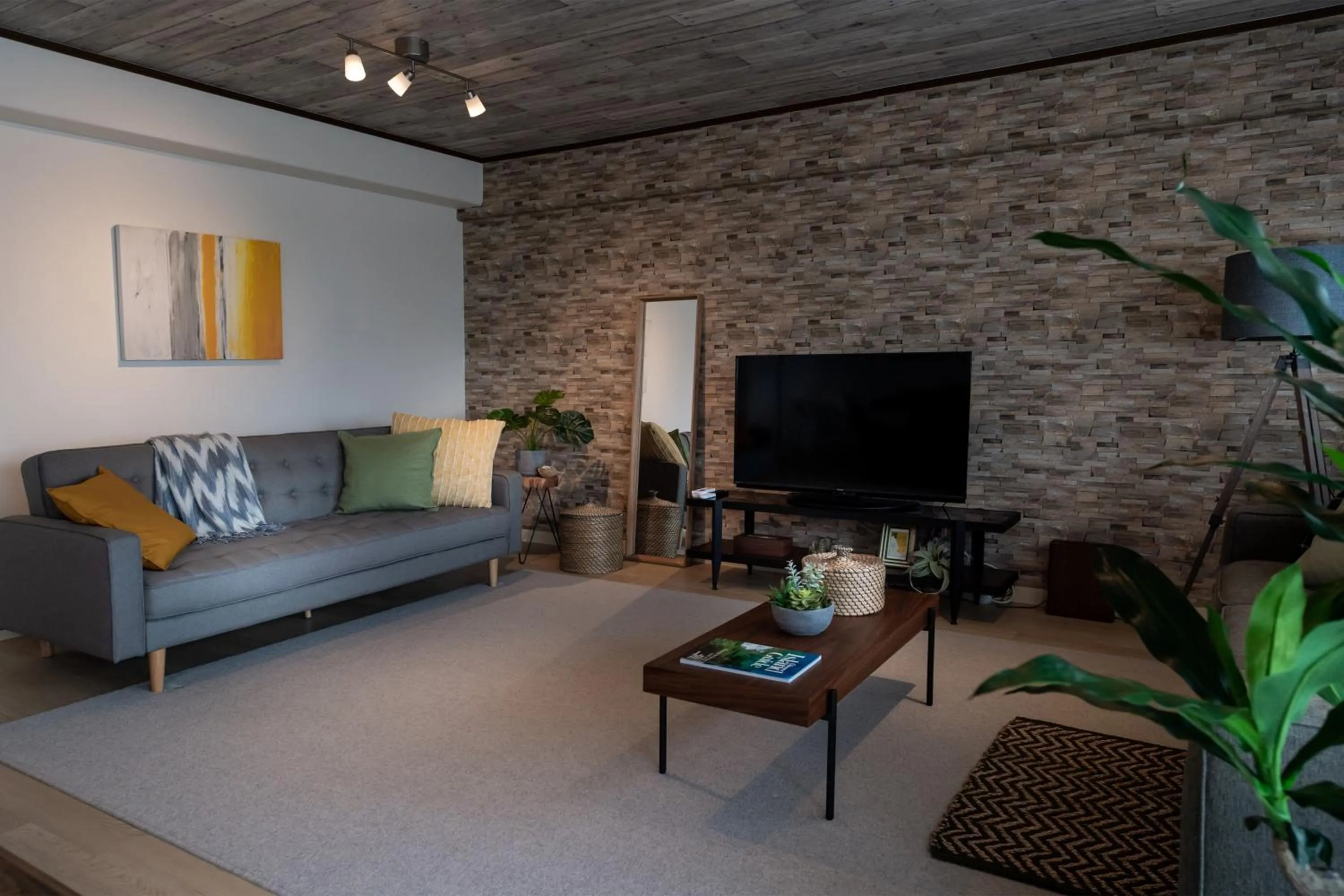 TV and multimedia in Little Santa