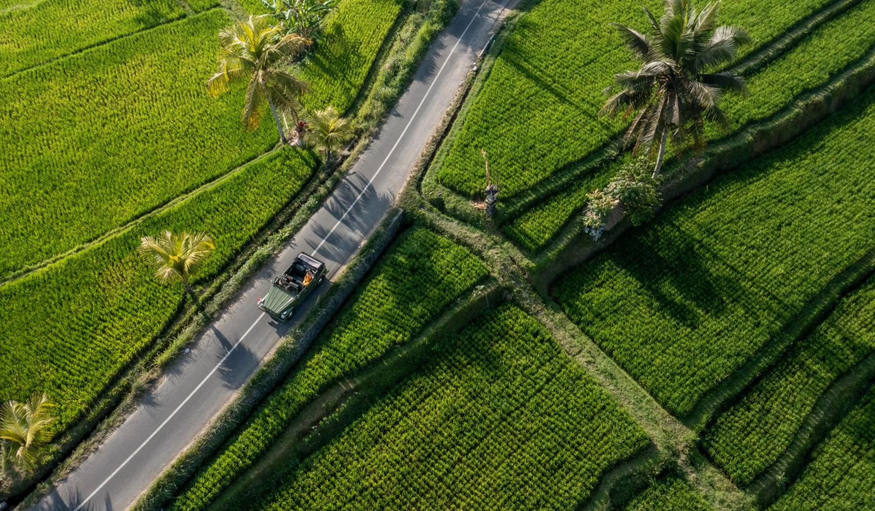 Activities in Kuwarasan A Pramana Experience