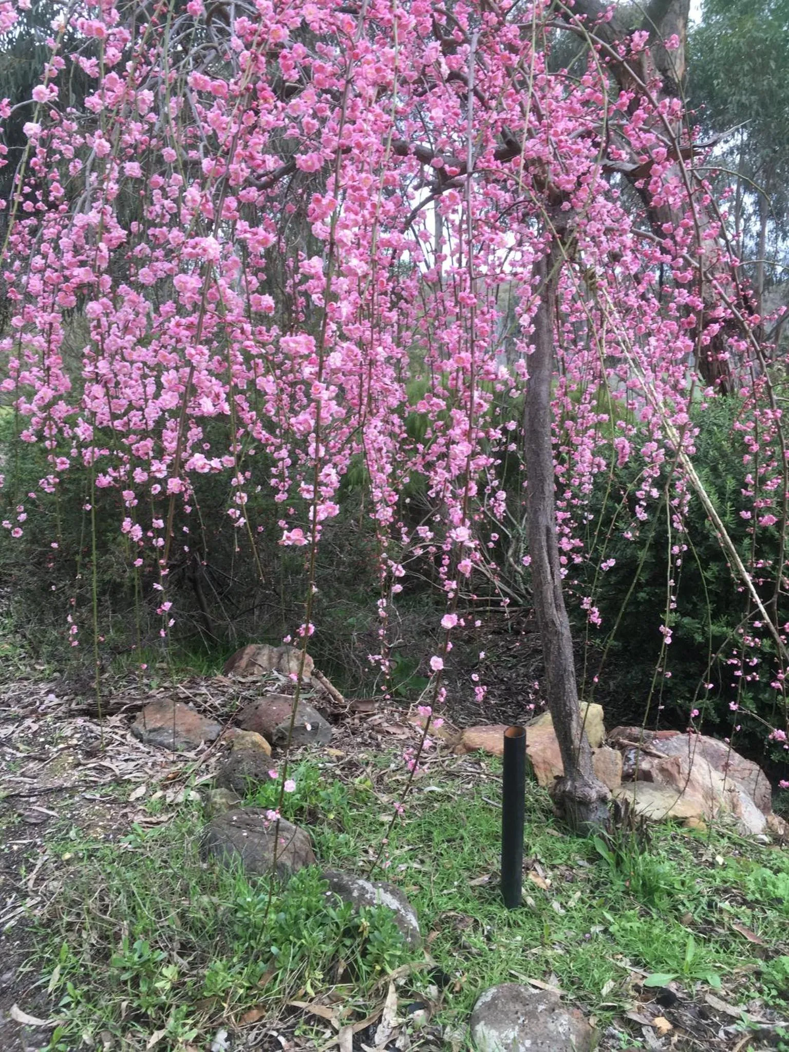 Natural landscape in Stephanie’s Country Cottages
