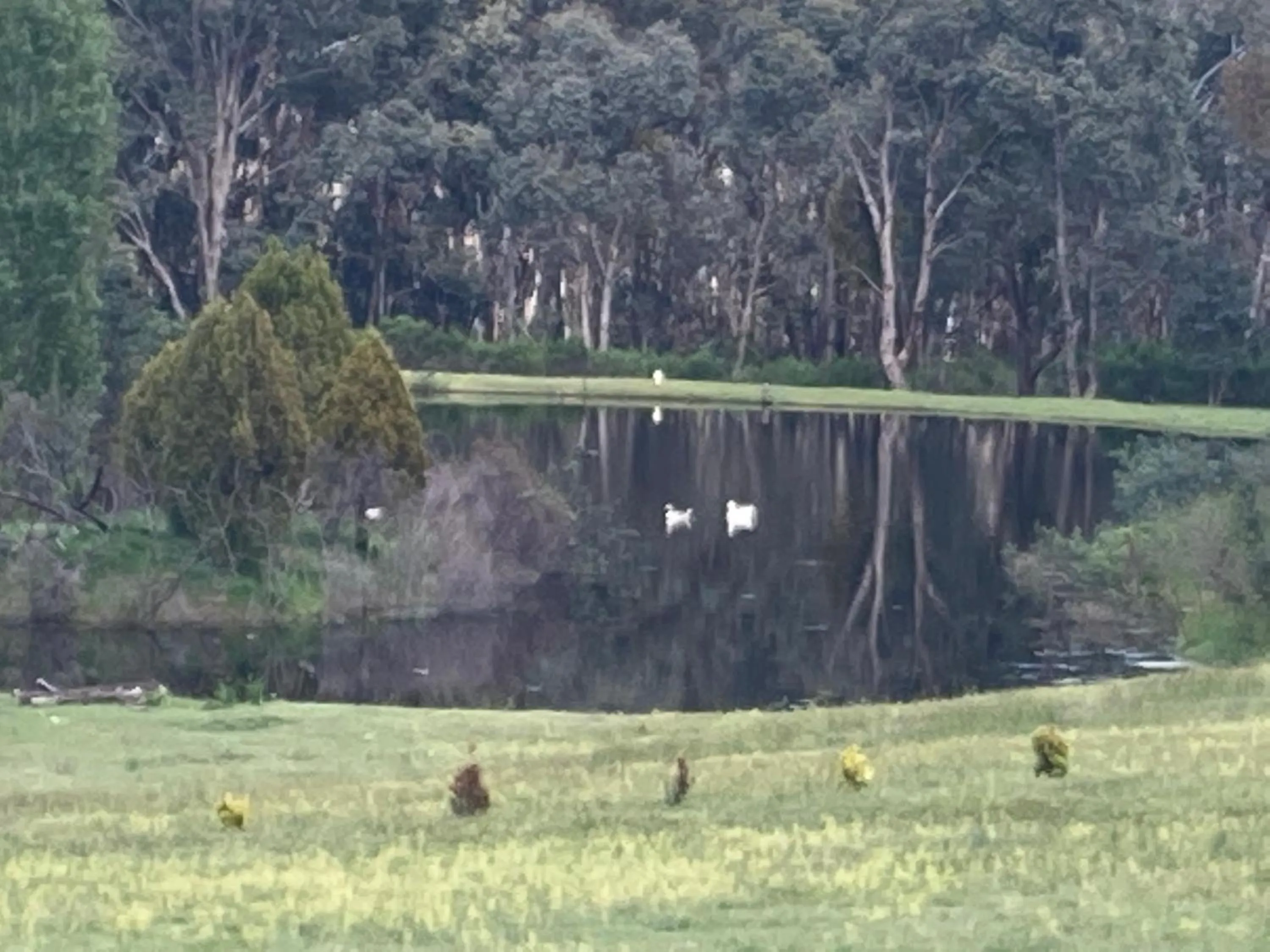 Stephanie’s Country Cottages