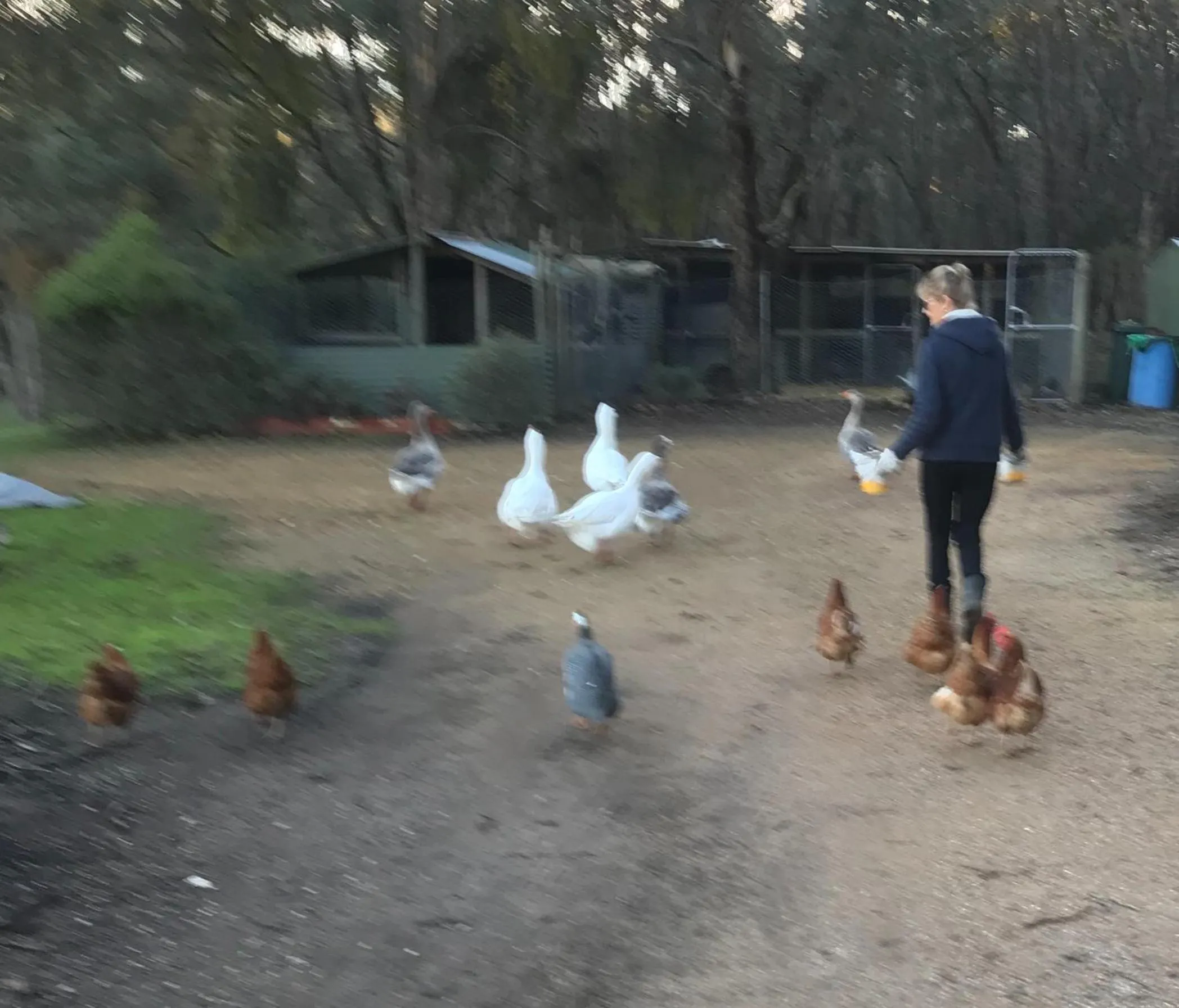 Family in Stephanie’s Country Cottages